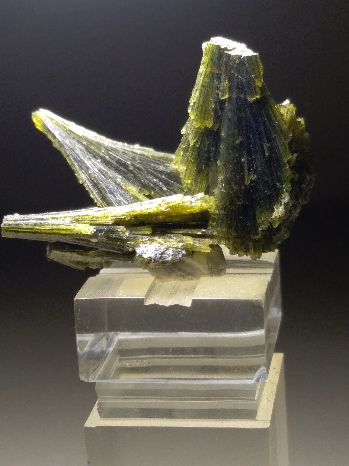Epidota
28 x 21 mm
(Autor: Sante Celiberti)