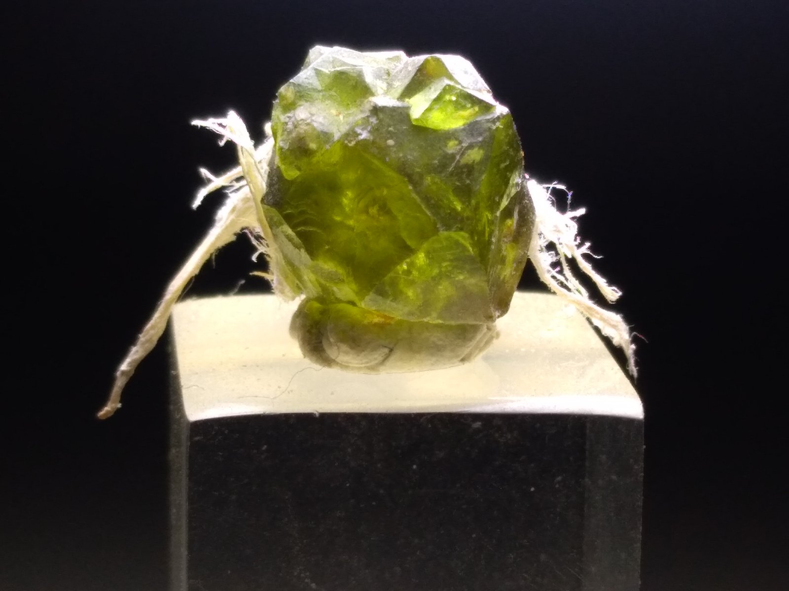 Andradita (variedad demantoide), Asbesto
12 x 11 mm
(Autor: Sante Celiberti)