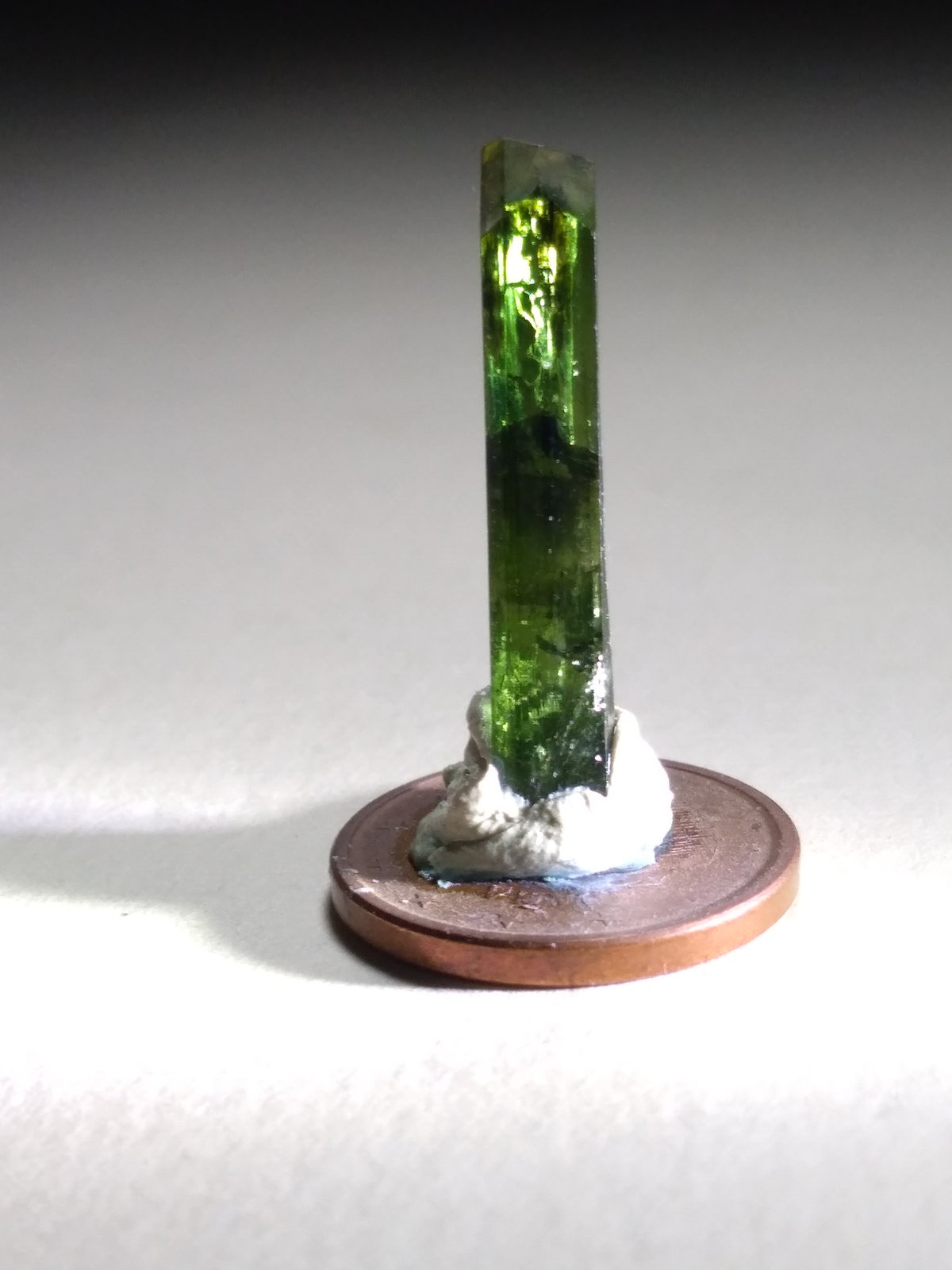 Diopsido (variedad cromífera)
23 x 4,2 mm
(Autor: Sante Celiberti)