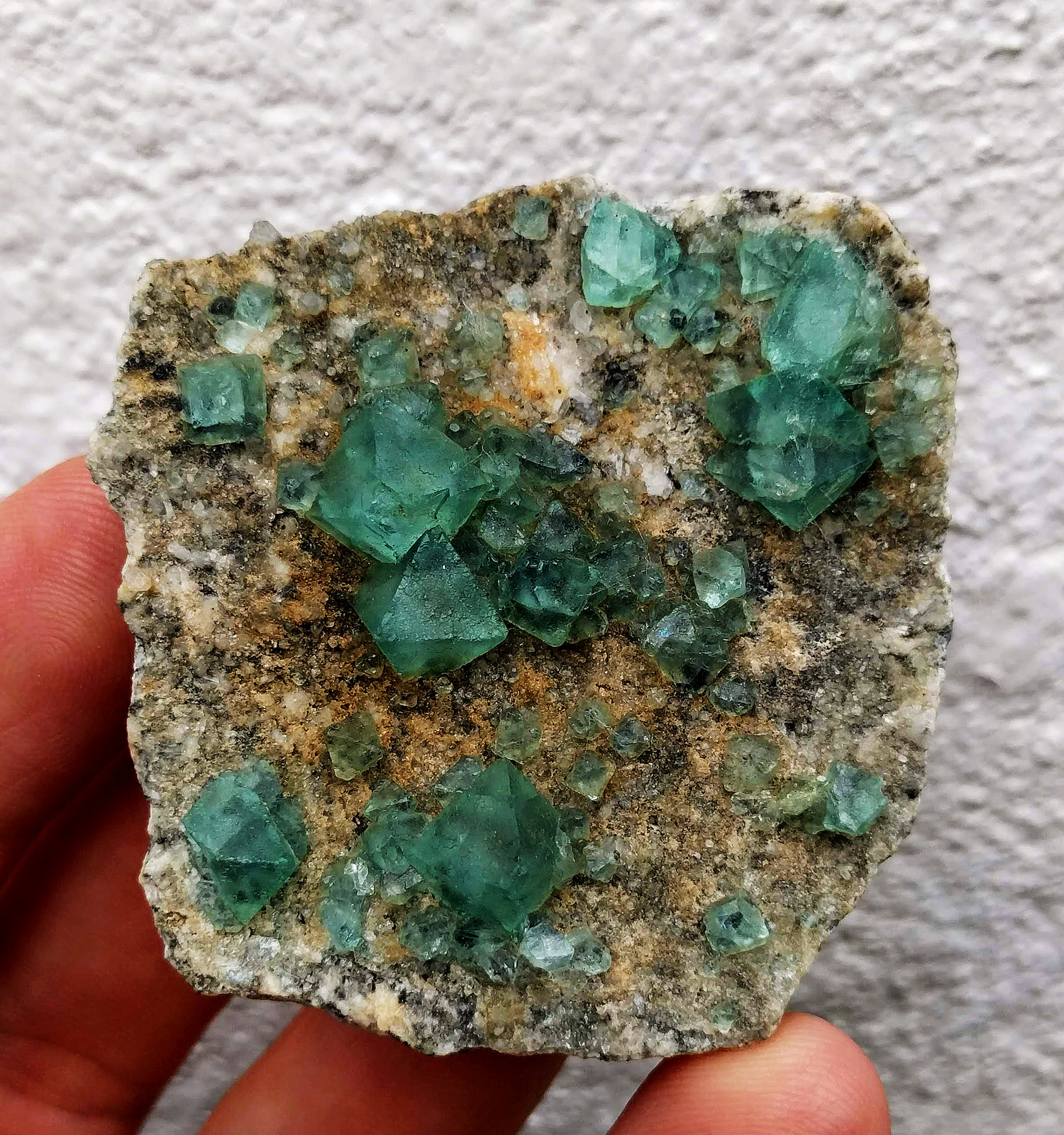 Fluorita
5,2 x 5,0 x 1,2 cm.
(Autor: carles)