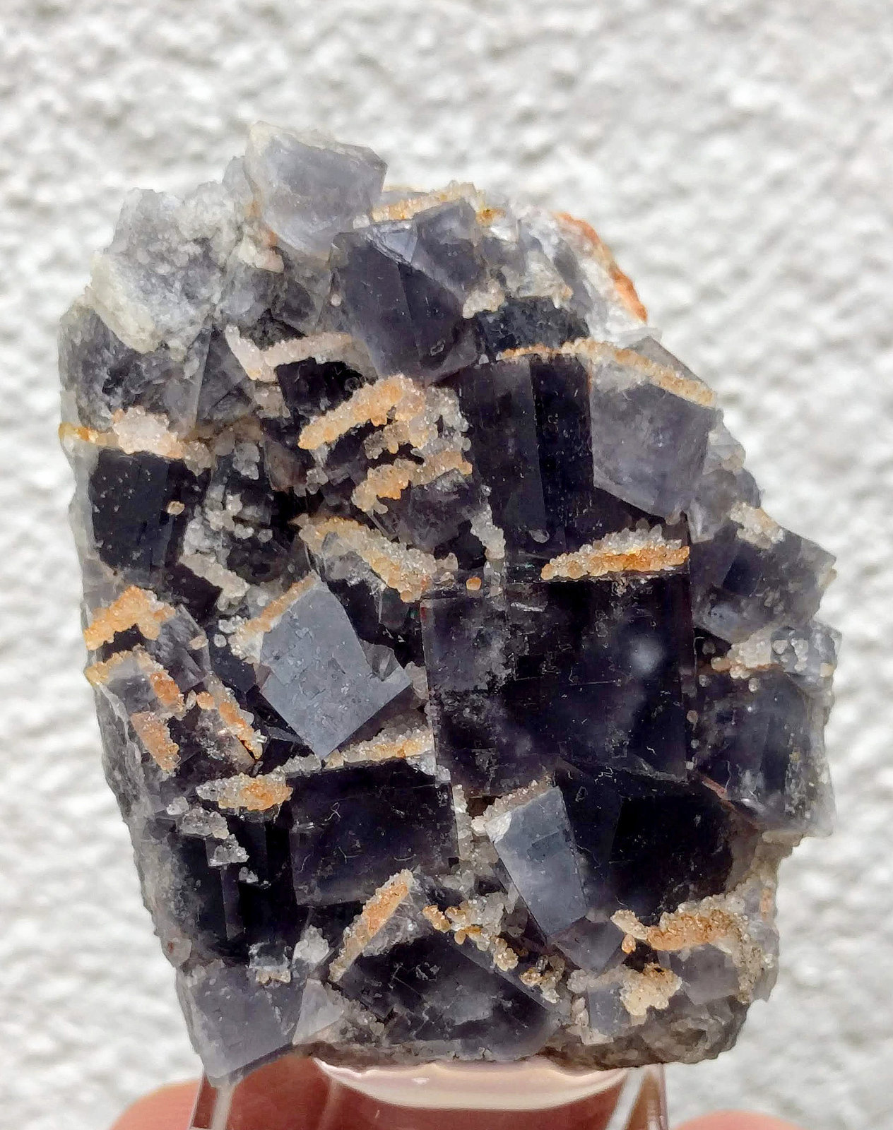 Fluorita, Cuarzo
5,1 x 4,0 x 2,3 cm.
(Autor: carles)