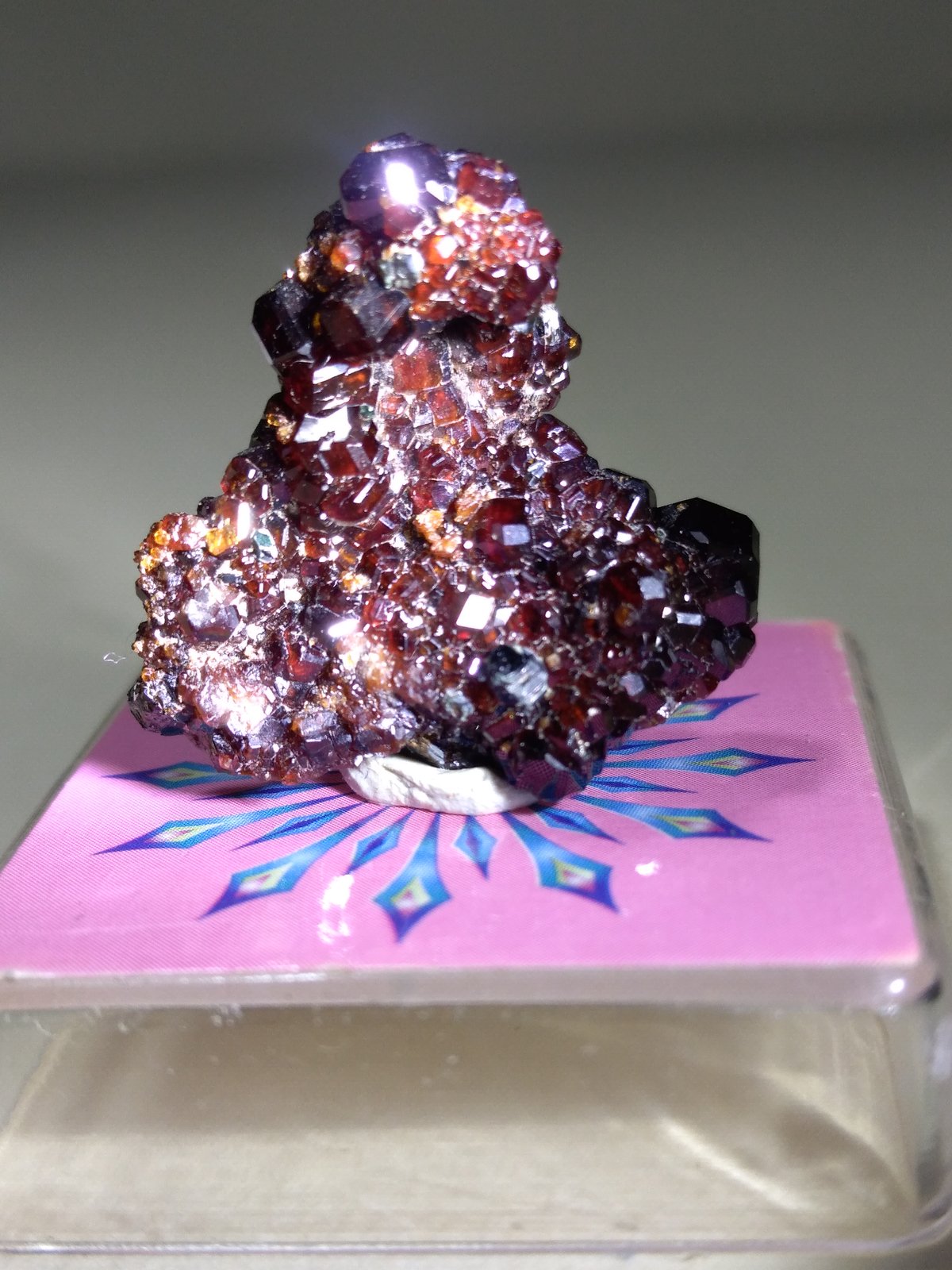 Grossularia
21 x 21 mm
(Autor: Sante Celiberti)