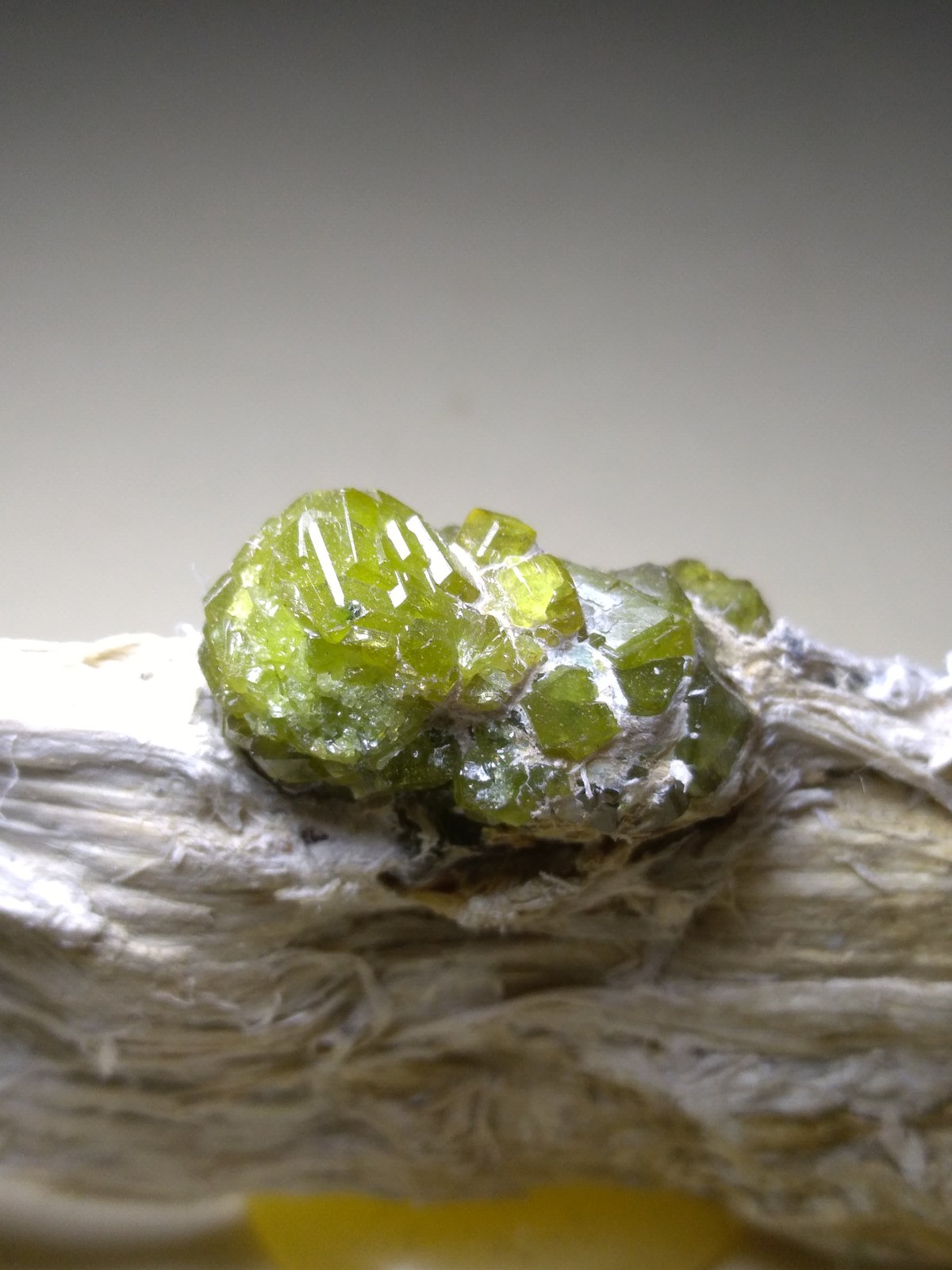Andradita (variedad demantoide), Asbesto
80 x 32 mm
(Autor: Sante Celiberti)
