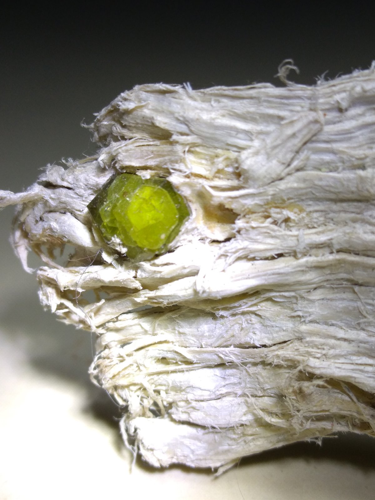 Andradita (variedad demantoide), Asbesto
80 x 32 mm
(Autor: Sante Celiberti)