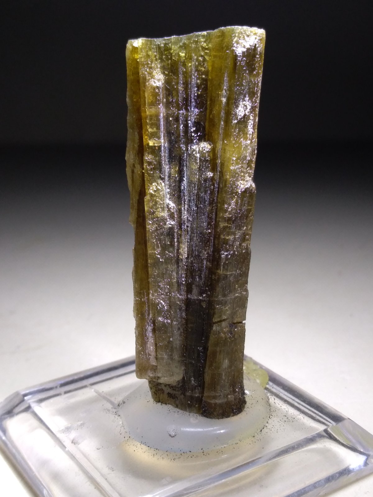 Zoisita
58 x 14 mm
(Autor: Sante Celiberti)