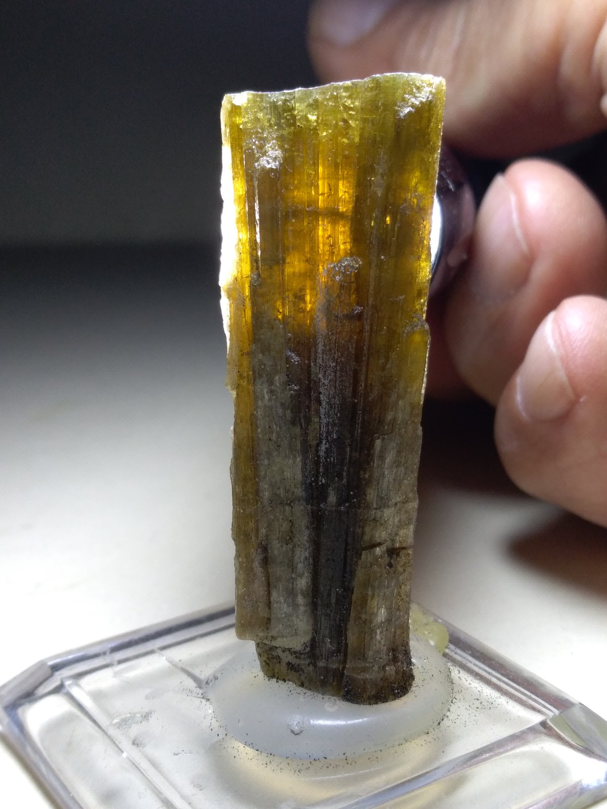 Zoisita
58 x 14 mm
(Autor: Sante Celiberti)