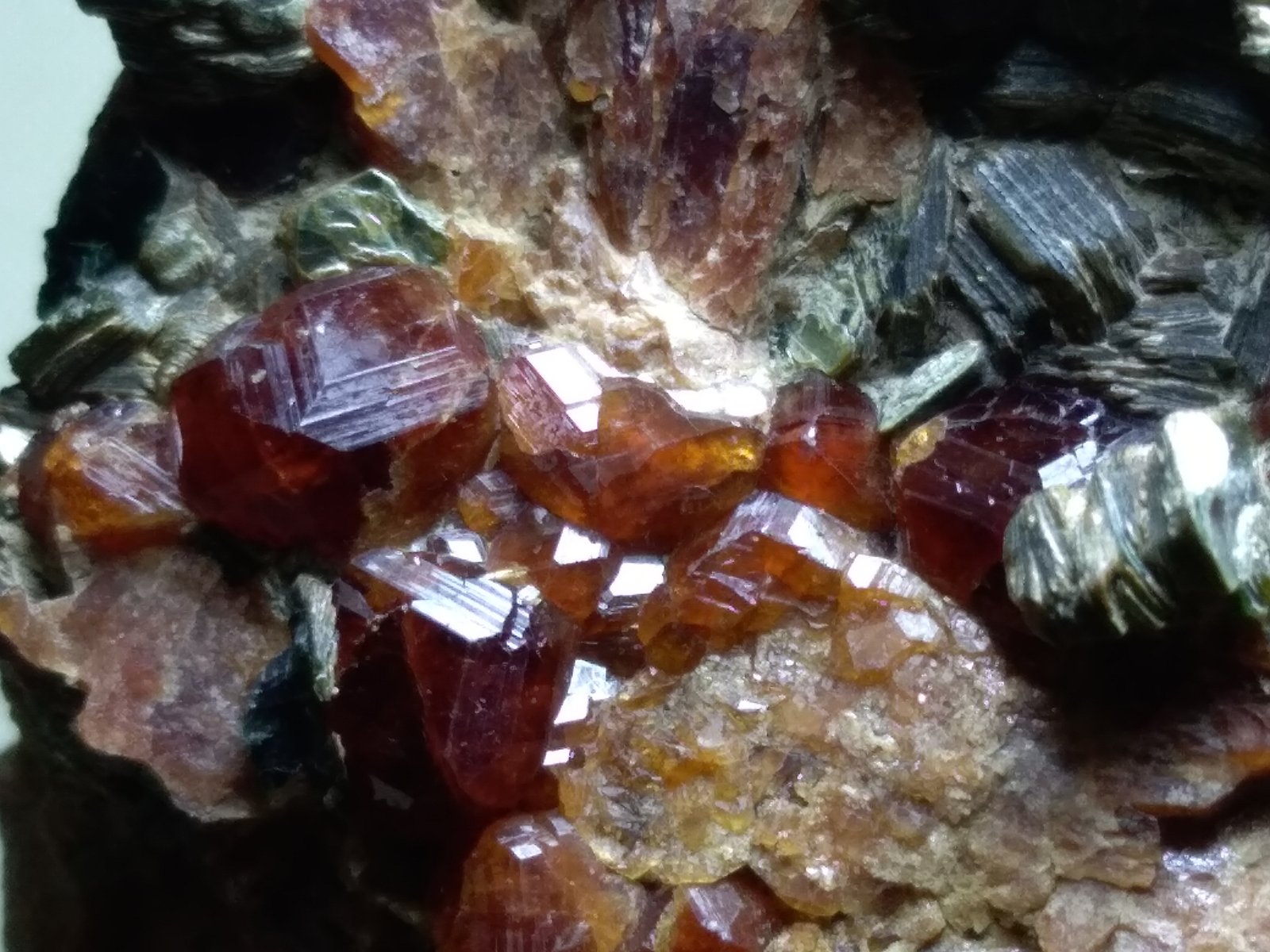 Grossularia (variedad hessonita), Clinocloro
73 x 62 mm
(Autor: Sante Celiberti)