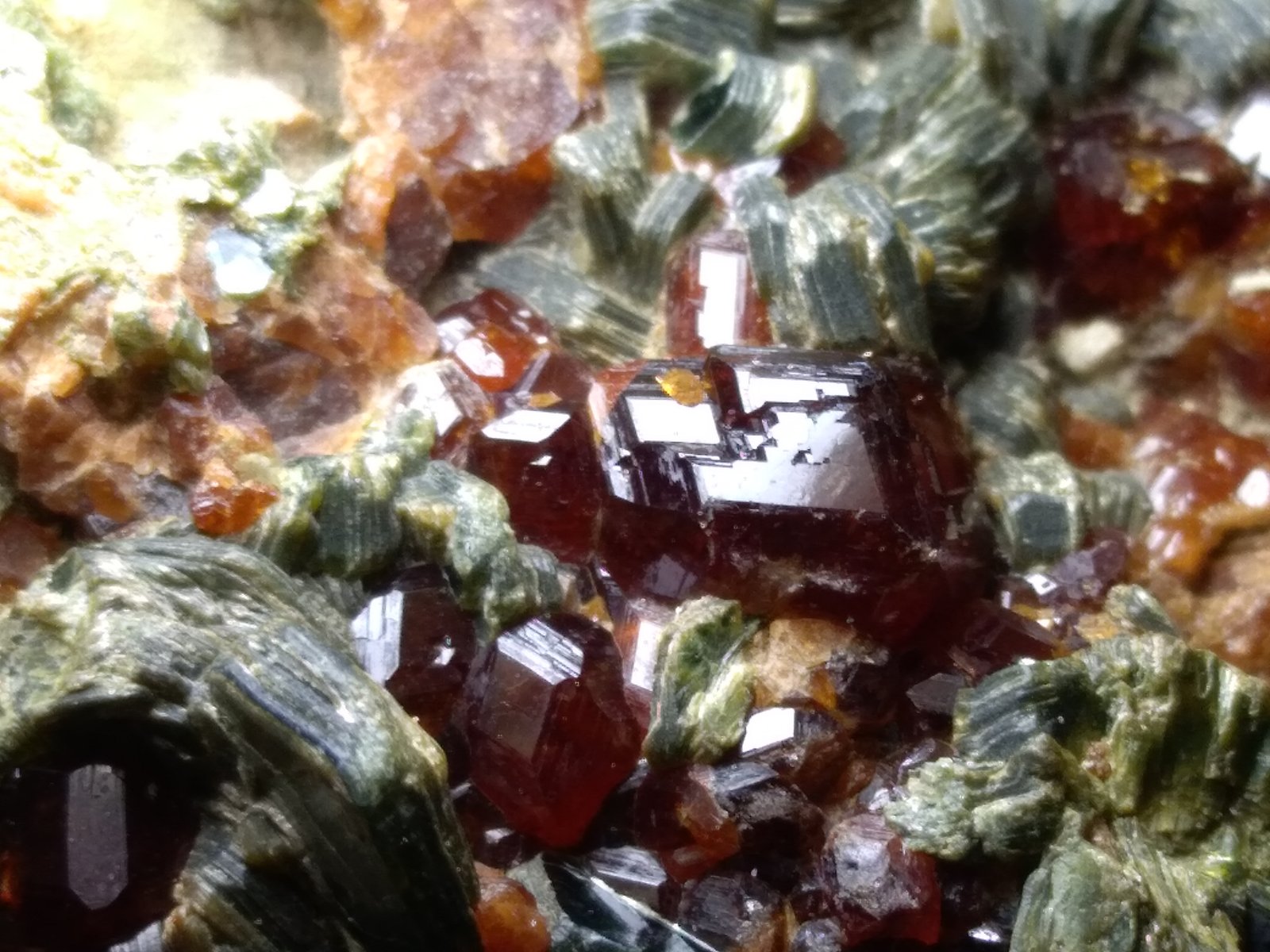 Grossularia (variedad hessonita), Clinocloro
73 x 62 mm
(Autor: Sante Celiberti)