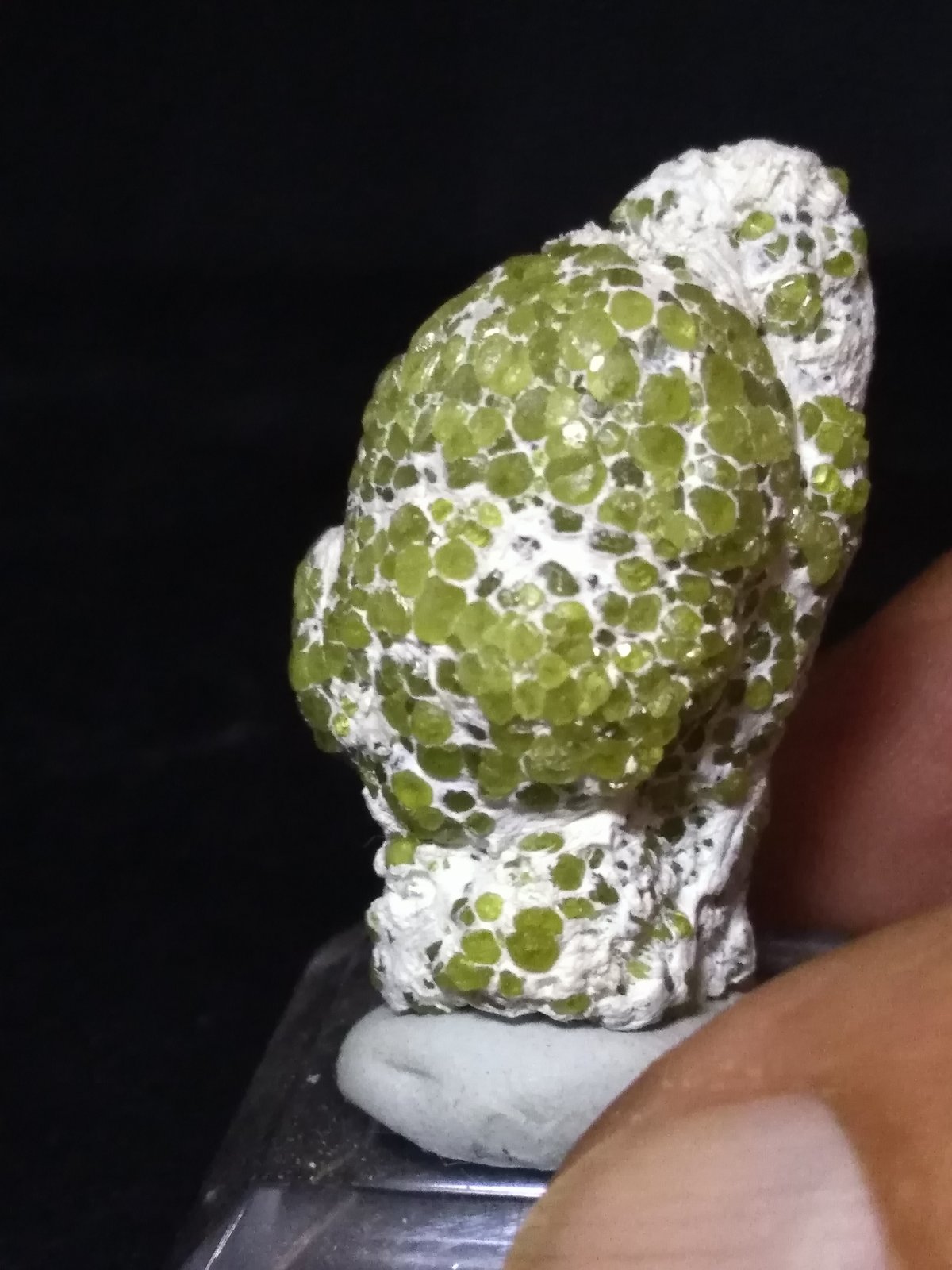 Andradita (variedad demantoide), Asbesto
32 x 22 mm
(Autor: Sante Celiberti)