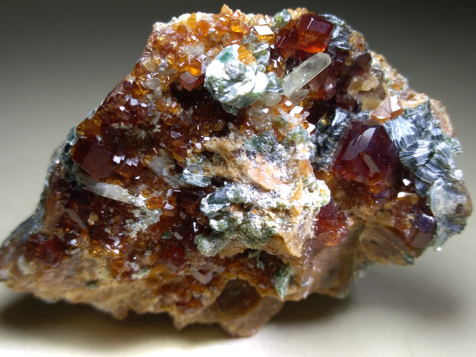 Grossularia (variedad hessonita), Diópsido, Clinocloro
51 x 38 mm
(Autor: Sante Celiberti)
