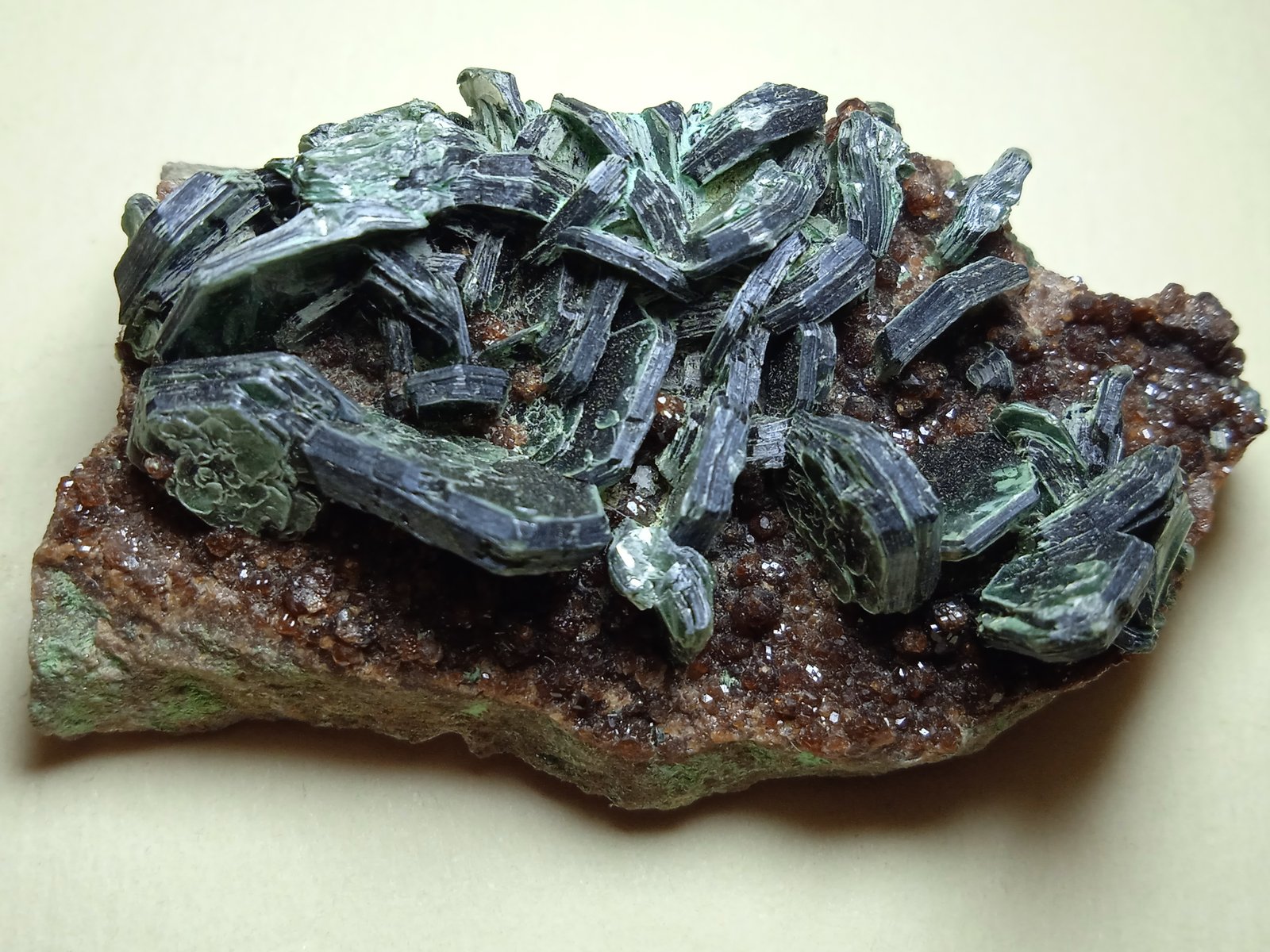 Clinocloro, Grossularia (variedad hessonita)
50 x 27 mm
(Autor: Sante Celiberti)