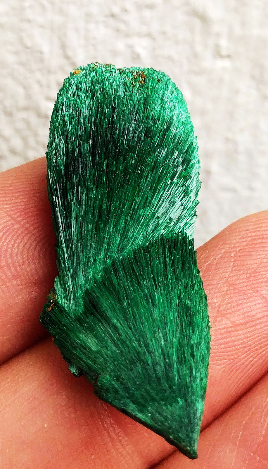 Malaquita
4,0 x 1,5 x 0,8 cm
(Autor: carles)