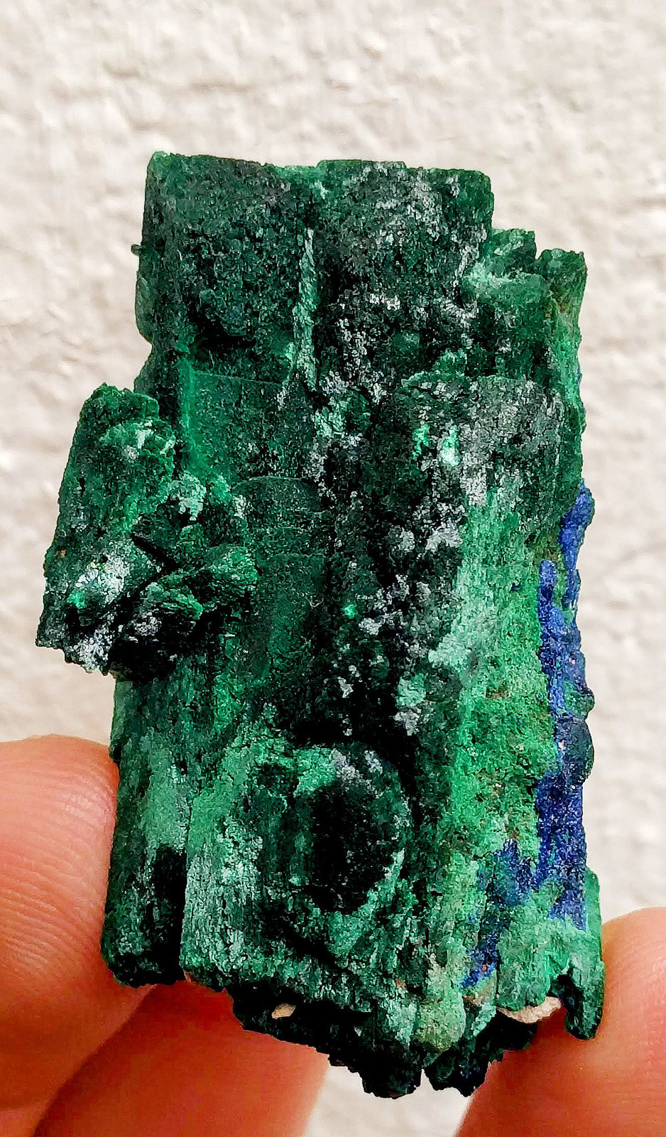 Malaquita, Azurita
4,5 x 2,7 x 2,0 cm.
(Autor: carles)