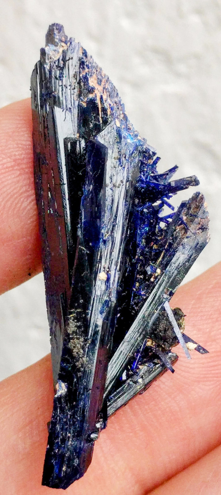 Azurita
4,5 x 1,9 x 1,6 cm
(Autor: carles)