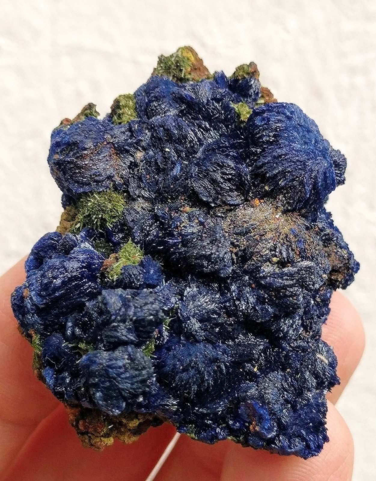 Azurita, Olivenita
4,5 x 3,9 x 2,8 cm.
(Autor: carles)