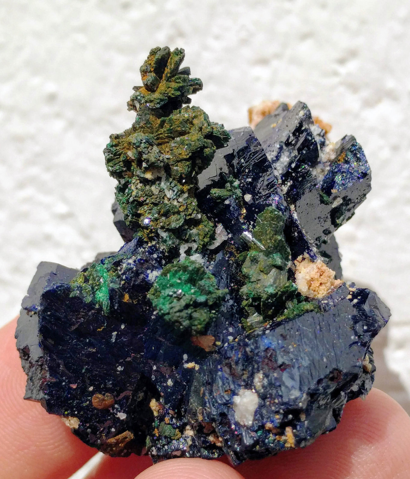 Azurita, Malaquita
4,5 x 3,6 x 3,3 cm.
(Autor: carles)