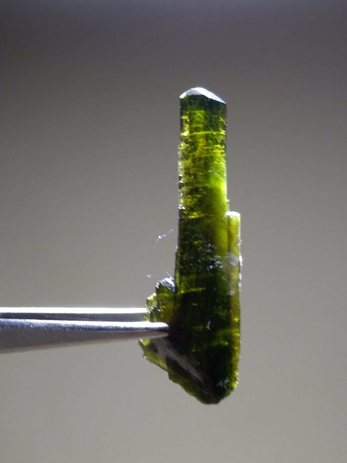 Epidota
25 x 8 mm
(Autor: Sante Celiberti)