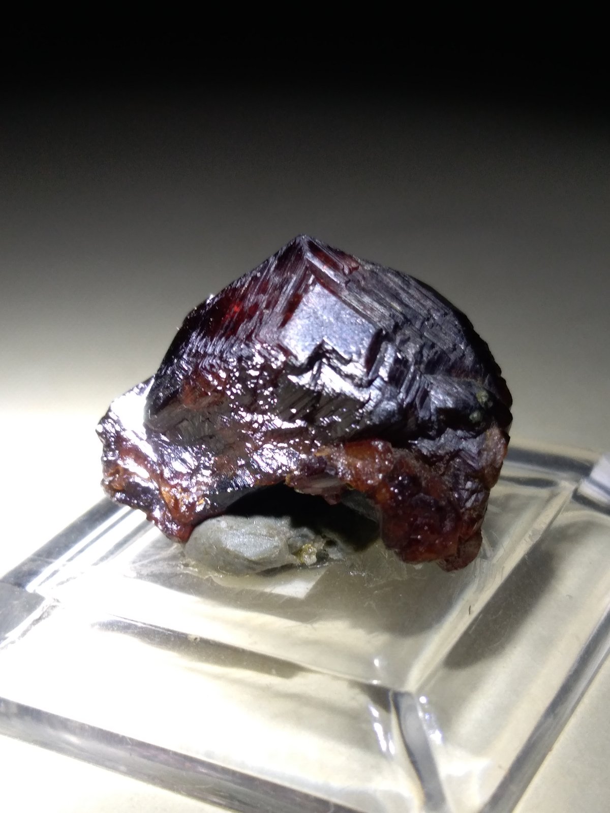 Grossularia (variedad  hessonita)
20 x 15 mm
(Autor: Sante Celiberti)
