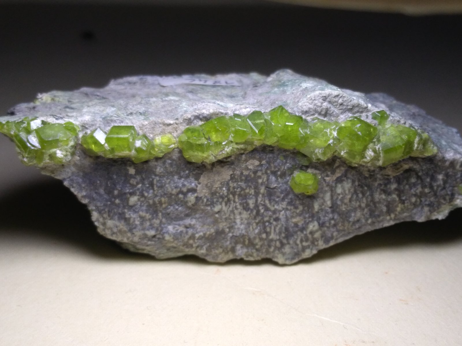 Andradita (variedad demantoide)
77 x 36 mm
(Autor: Sante Celiberti)
