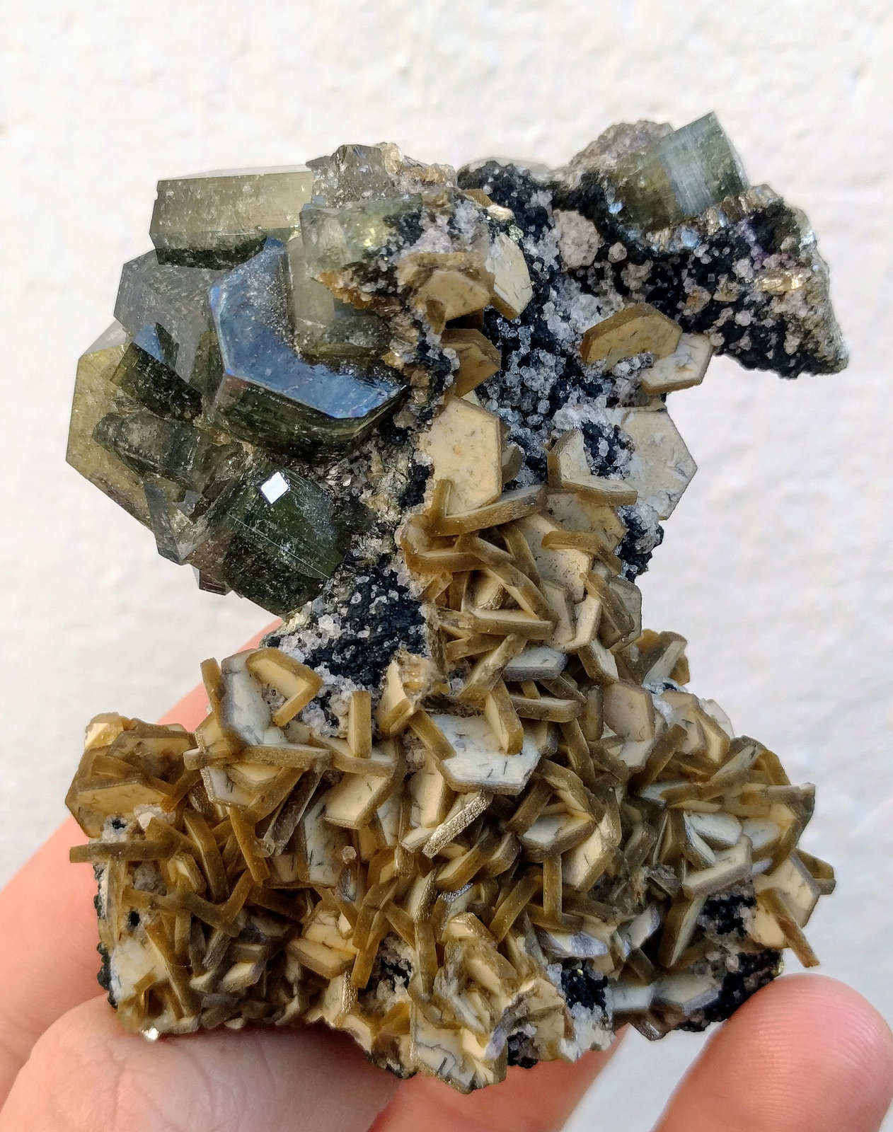 Siderita, Fluorapatito, Moscovita, Clorita, Topacio
7,2 x 5,5 x 3,2 cm.
(Autor: carles)