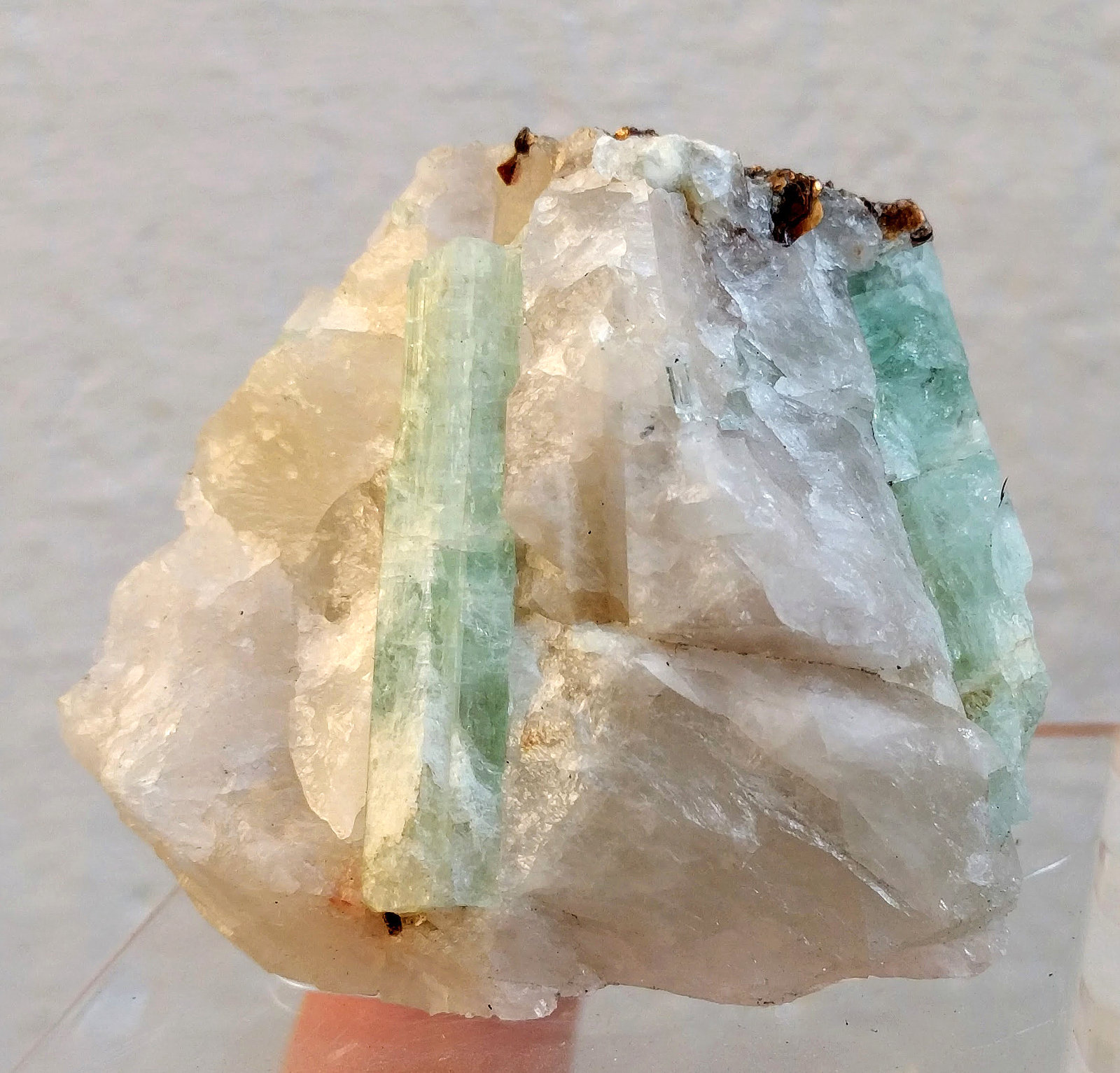 Berilo (variedad aguamarina), Cuarzo
4,3 x 3,0 cm.
(Autor: carles)