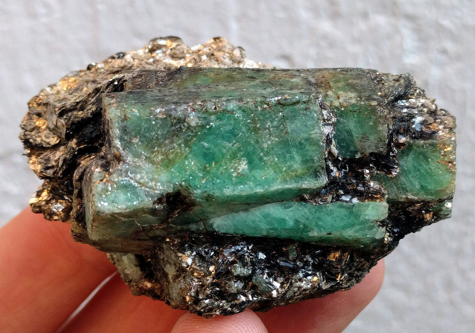 Berilo (variedad esmeralda), Flogopita (Grupo Mica)
6,0 x 4,2 cm
(Autor: carles)