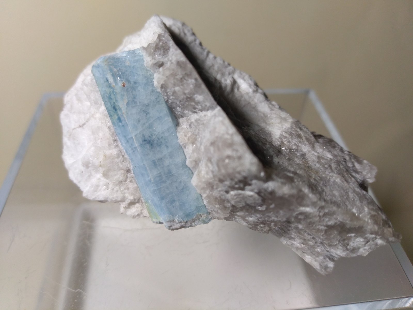 Berilo (variedad aguamarina)
57 x 36 mm
(Autor: Sante Celiberti)