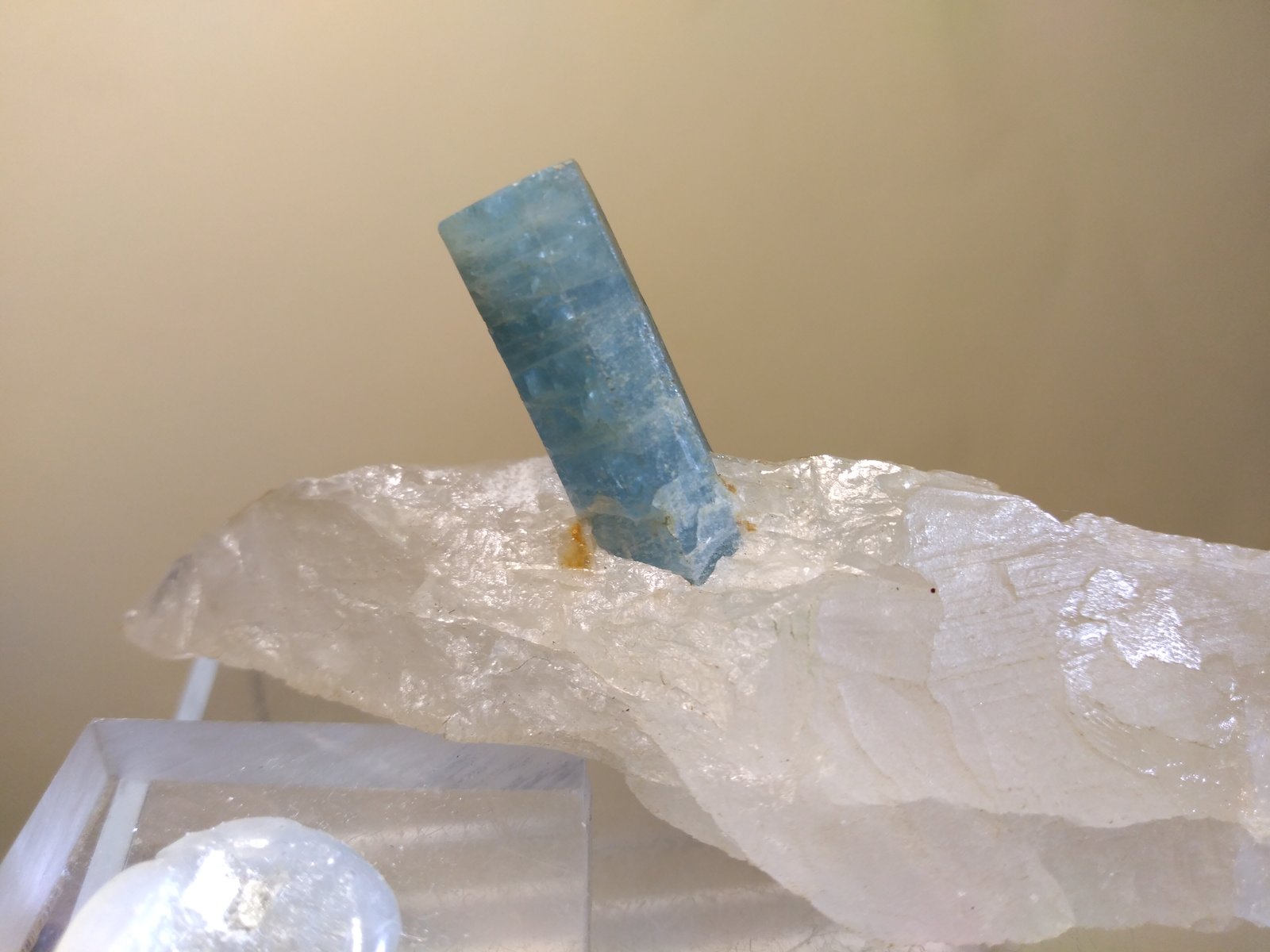 Berilo (variedad aguamarina)
93 x 38 mm
(Autor: Sante Celiberti)