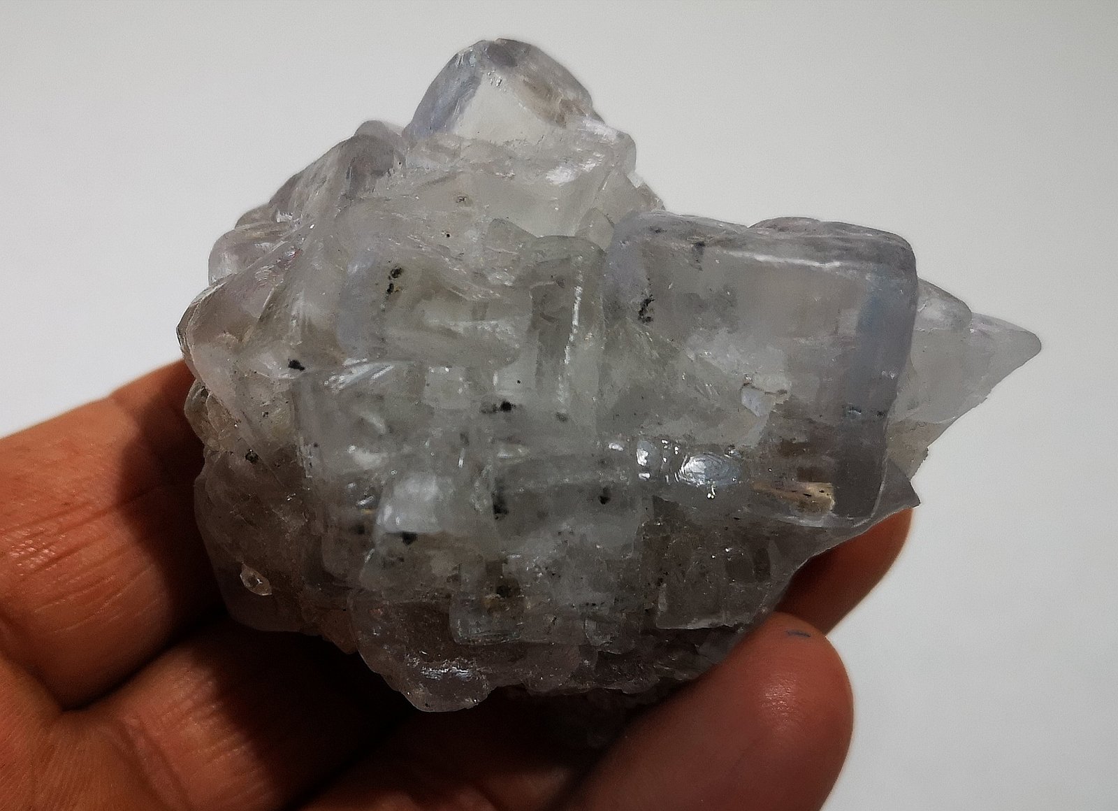 Fluorita
65x60x4mm
(Autor: joaquin gar)
