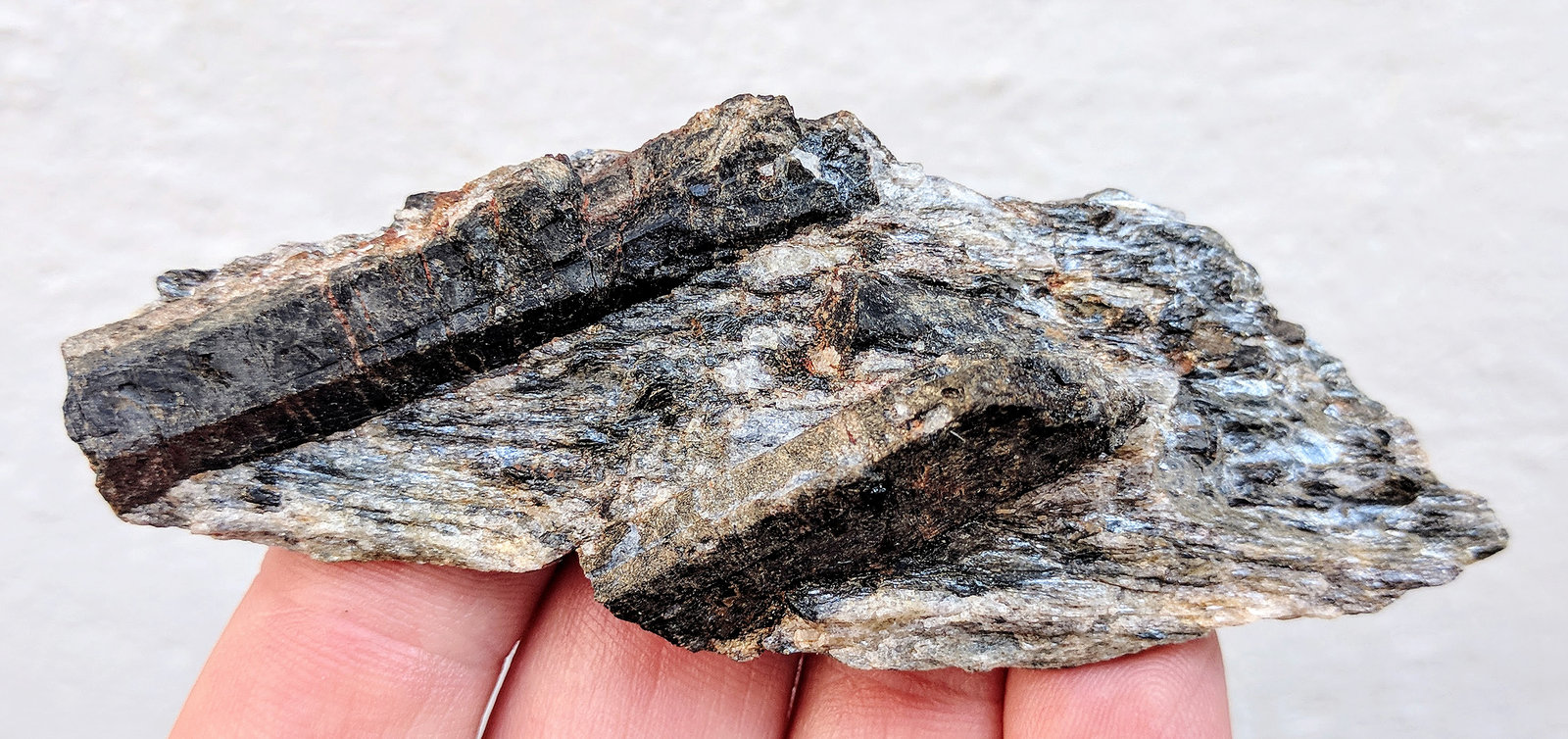 Estaurolita
9,0 x 3,5 cm.
(Autor: carles)