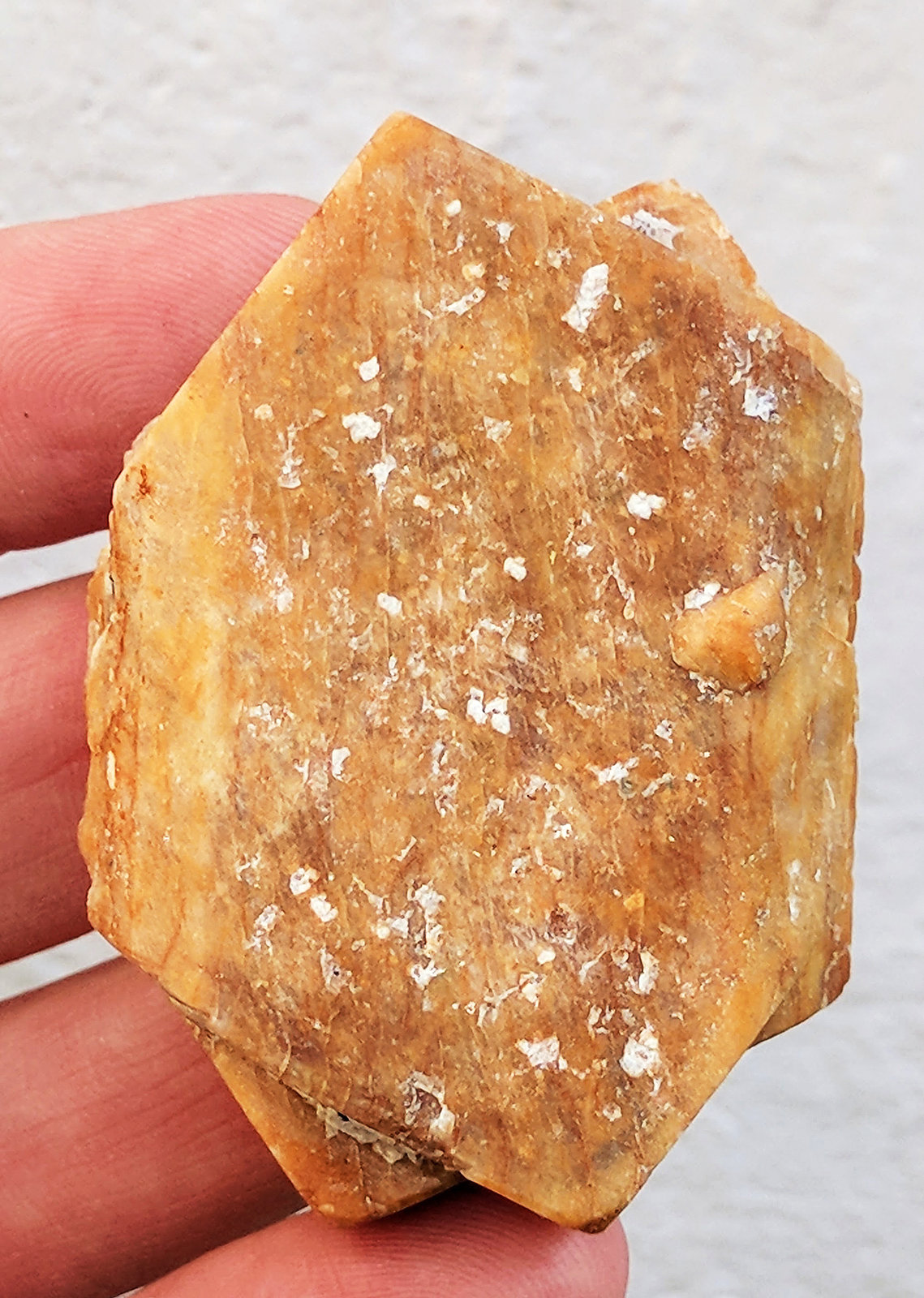 Ortoclasa
5,5 x 3,8 x 2,0 cm.
(Autor: carles)