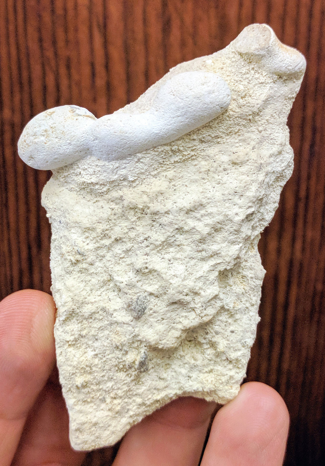 Ópalo (variedad menilito)
8,5 x 5,5 cm.
(Autor: carles)