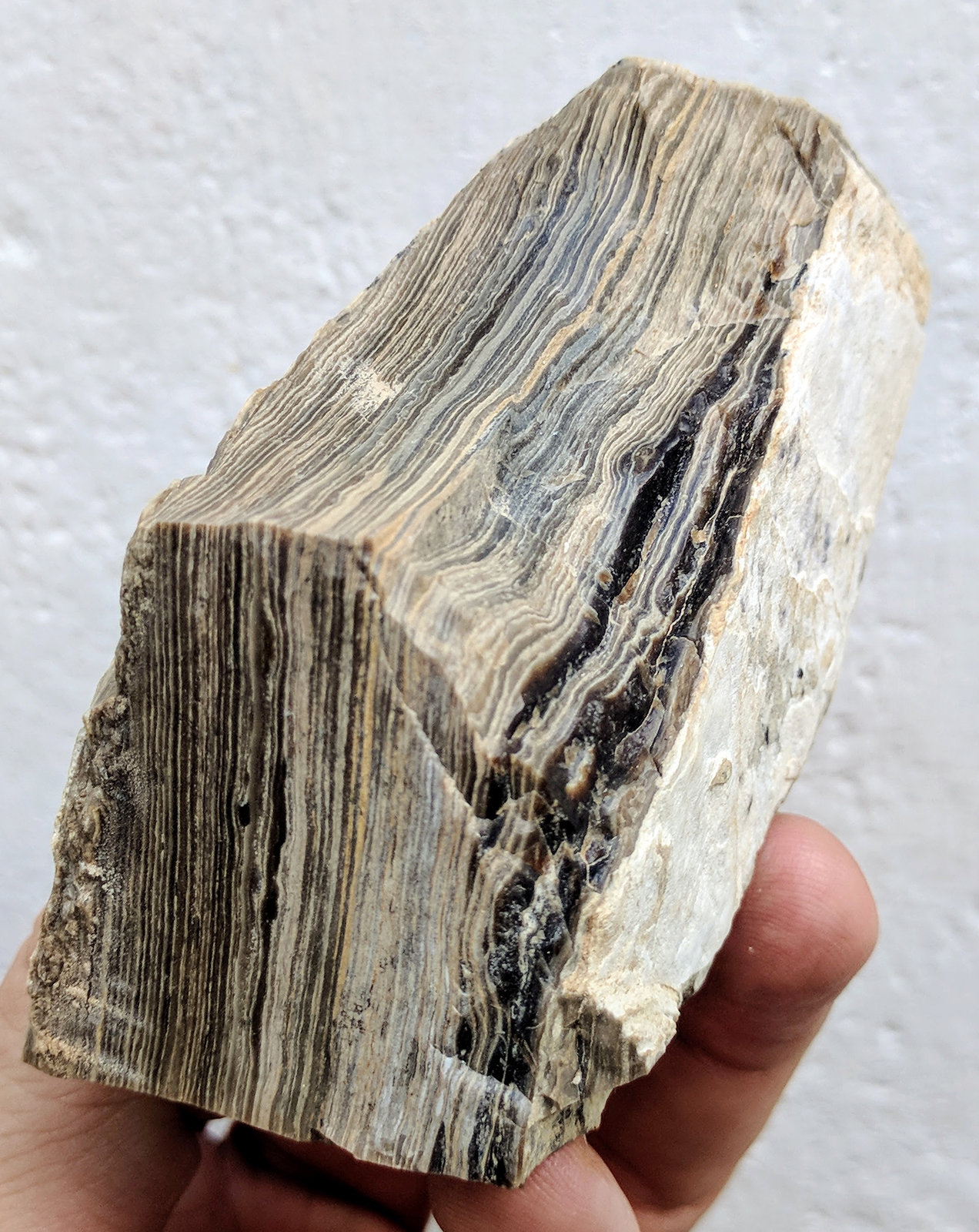 Ópalo
8,1 x 4,2 cm.
(Autor: carles)