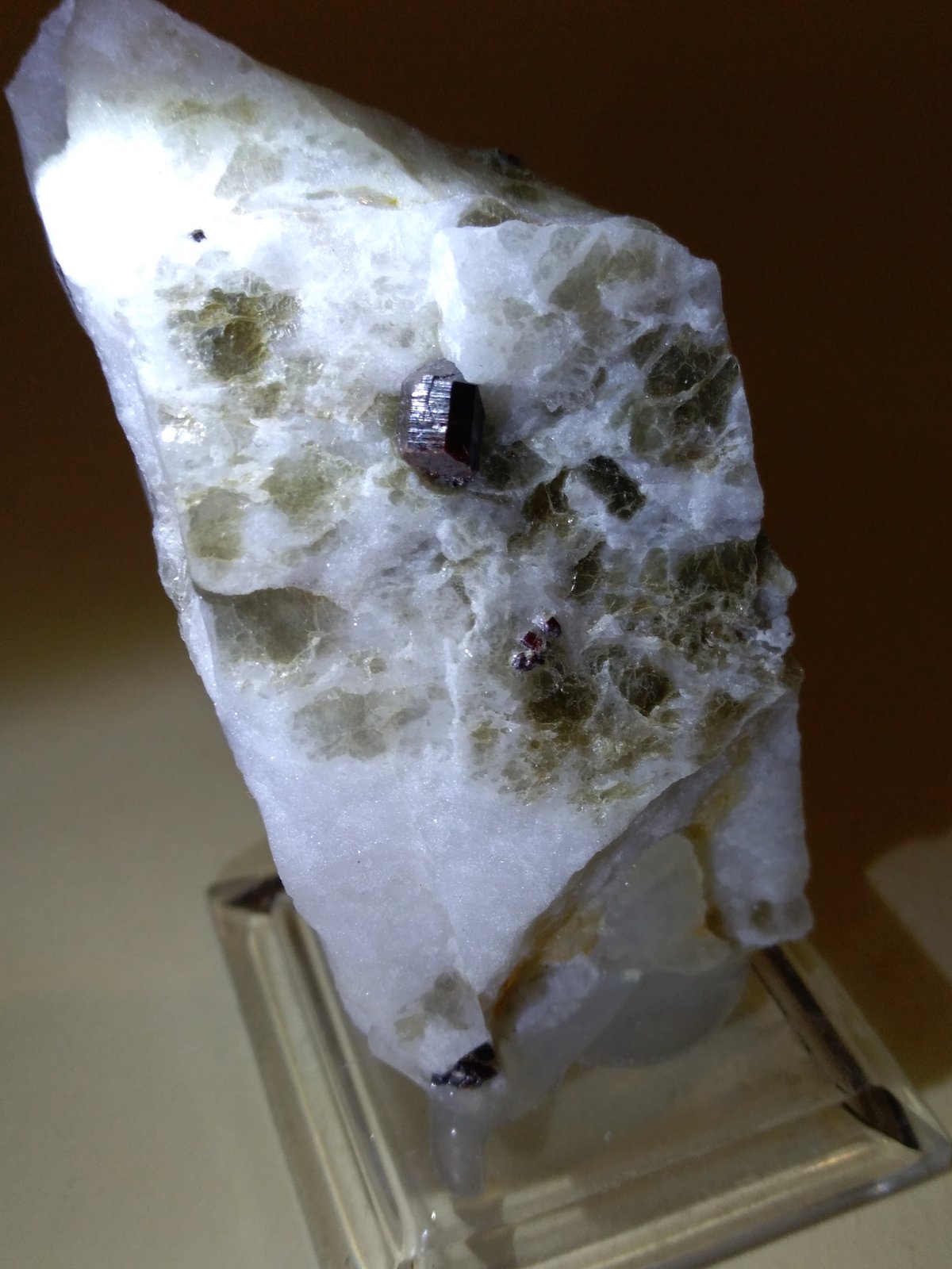 Rutilo, Moscovita, Cuarzo
68 x 36 mm
(Autor: Sante Celiberti)