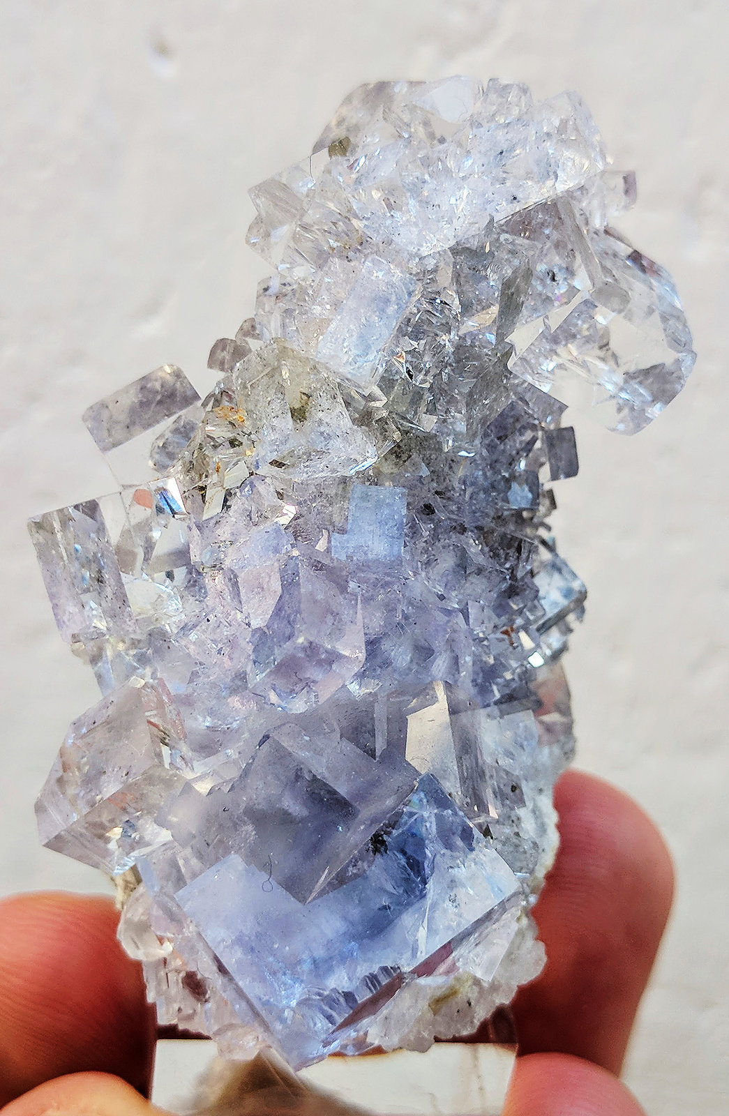 Fluorita
5,0 x 3,2 cm.
(Autor: carles)