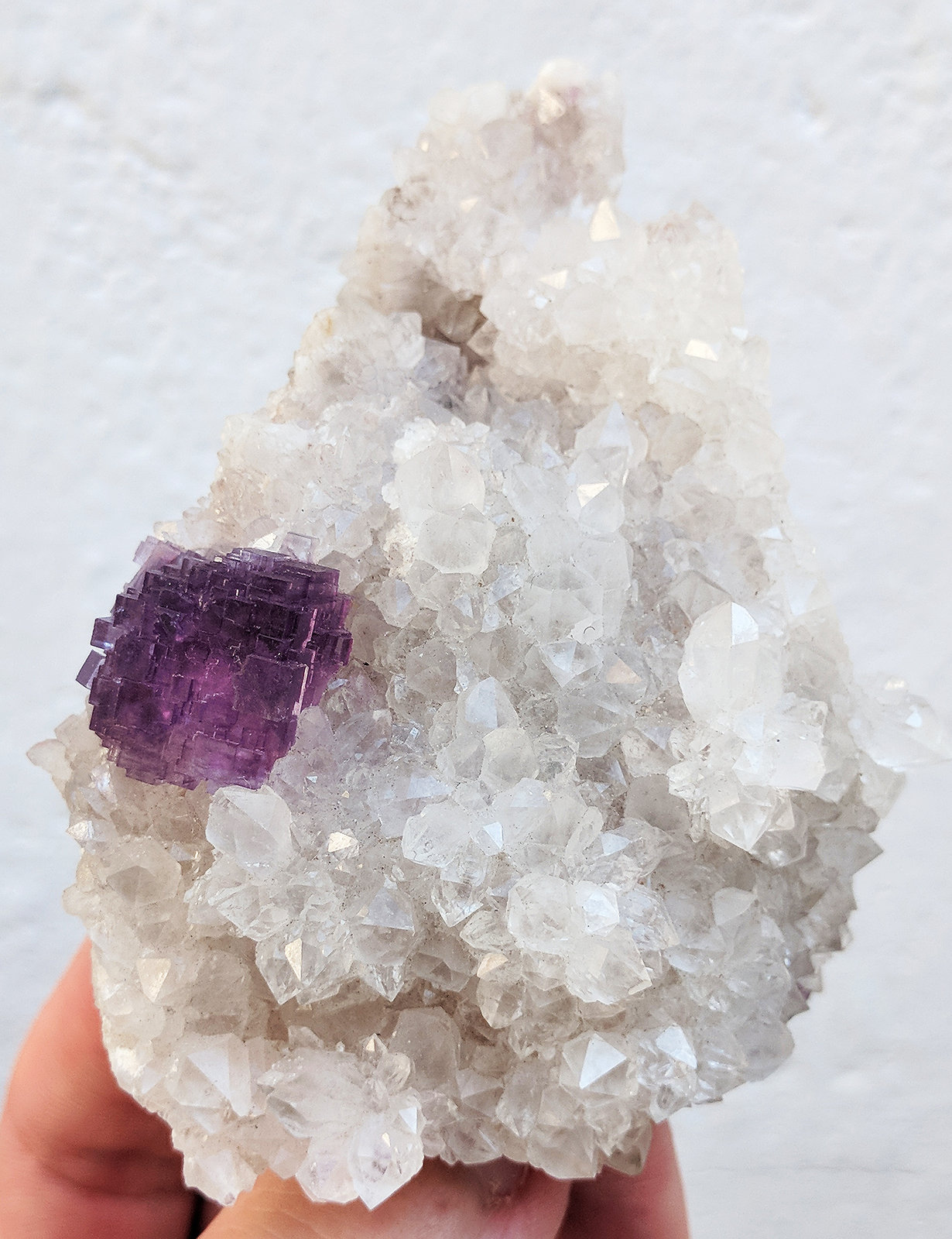Fluorita, Calcita
8,6 x 6,2 cm.
(Autor: carles)