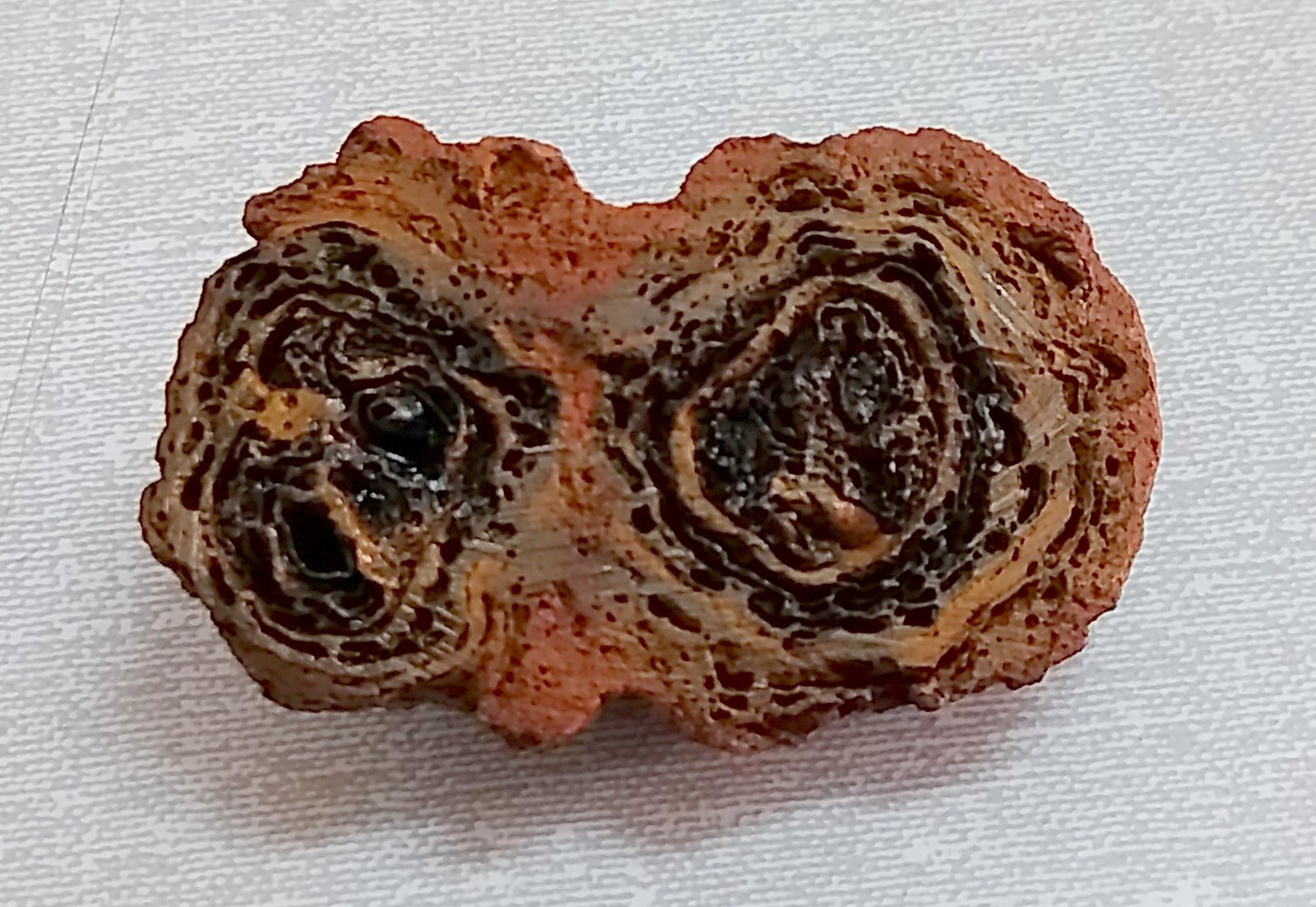 Goethita
4,3 x 2,1 x 2,4 cm
(Autor: Anisio Claudio)