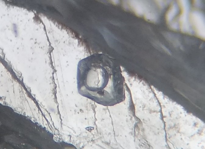 Topacio
Inclusión con 0,3 x 0,3 mm
(Autor: Anisio Claudio)