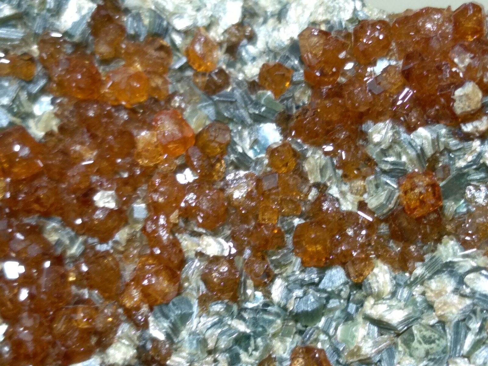 Grossularia (variedad hessonita), Vesuvianita (Vesubiana), Clinocloro
114 x 52 mm
(Autor: Sante Celiberti)