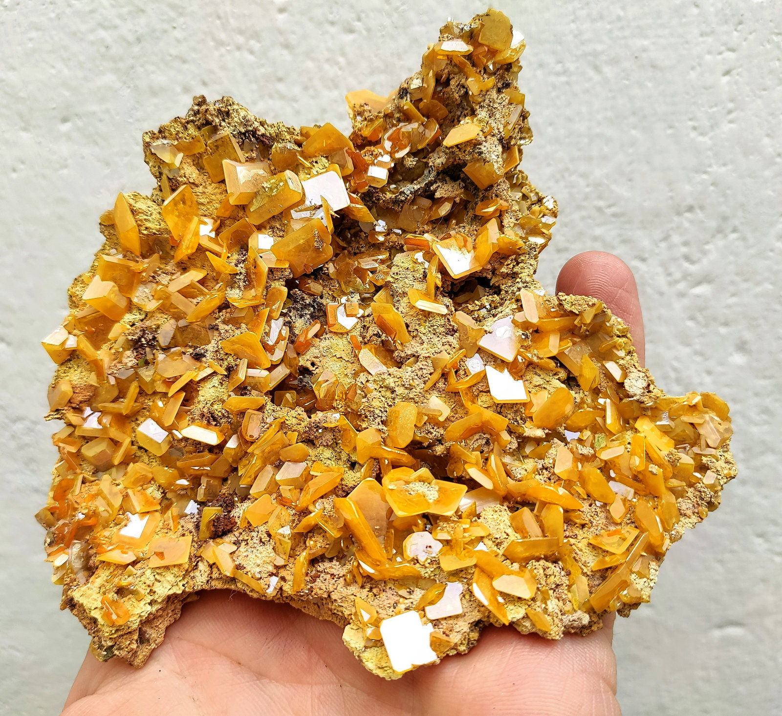 Wulfenita
11,0 x 11,0 x 1,0 cm.
(Autor: carles)