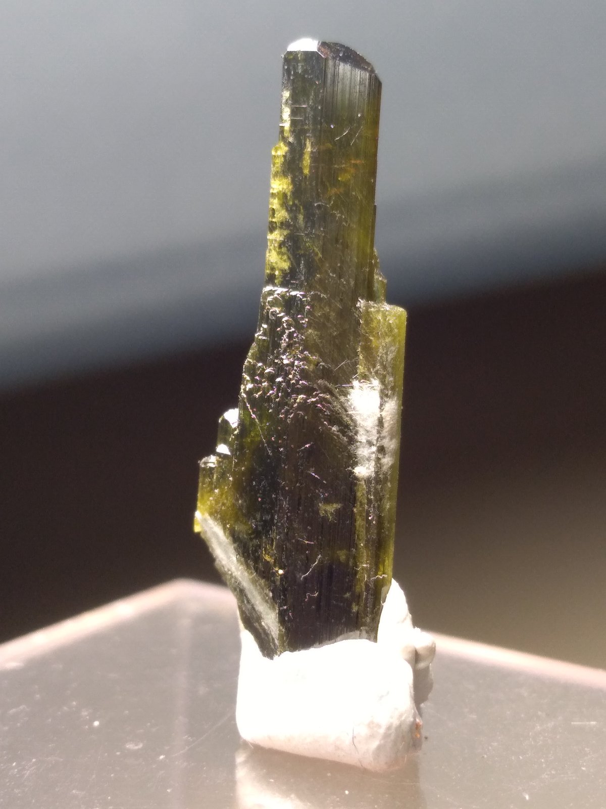 Epidota
26 x 8 mm
(Autor: Sante Celiberti)