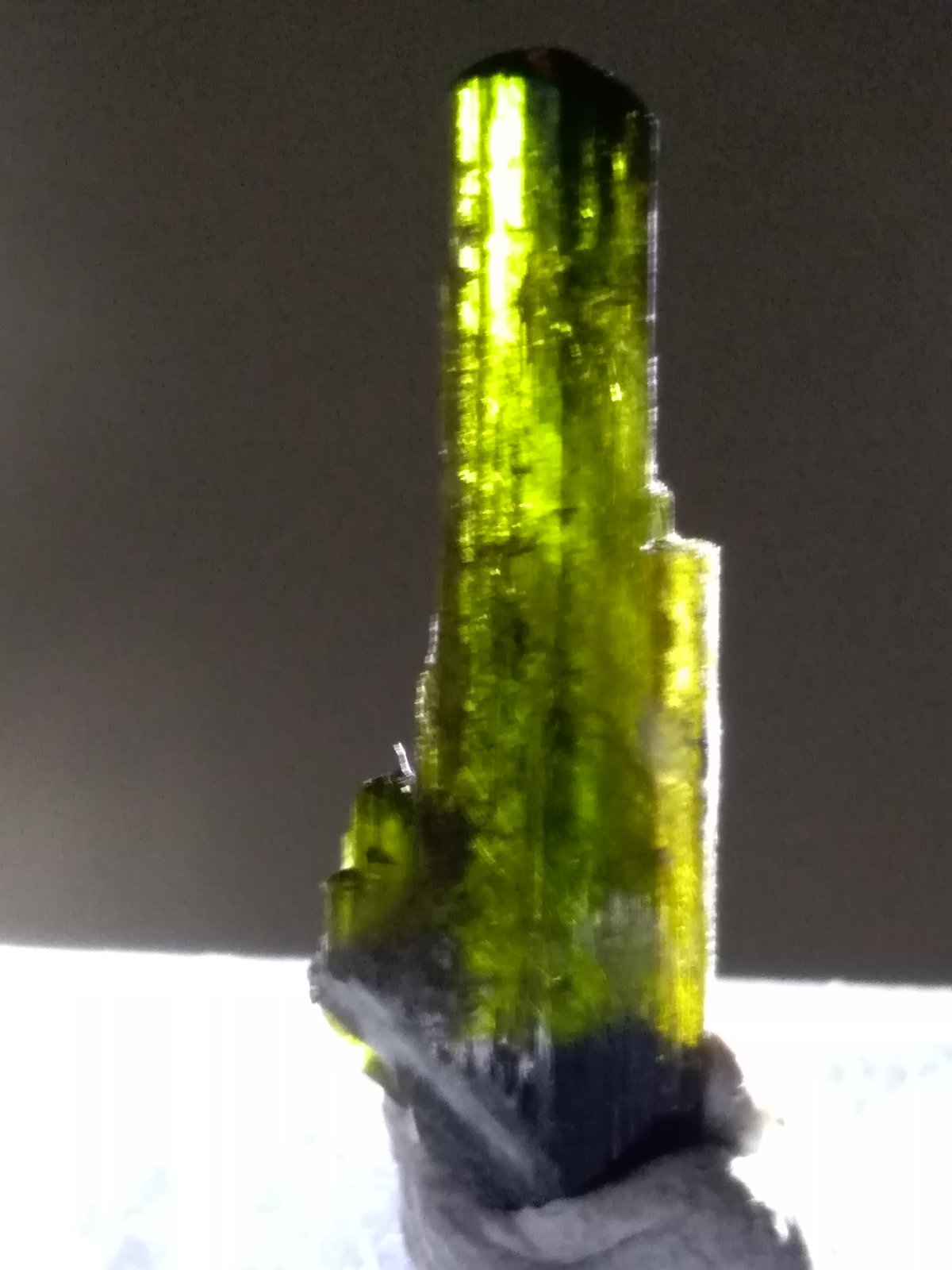 Epidota
26 x 8 mm
(Autor: Sante Celiberti)