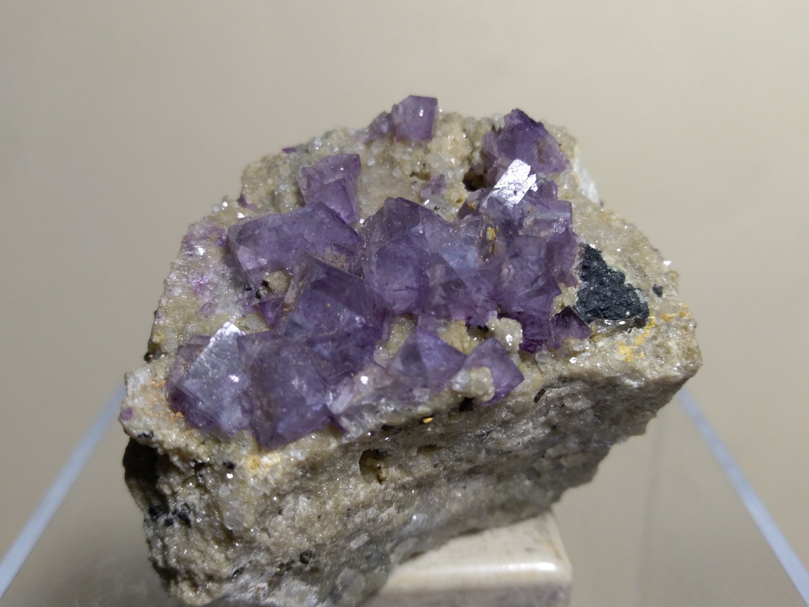Fluorita
46 x 34 mm
(Autor: Sante Celiberti)