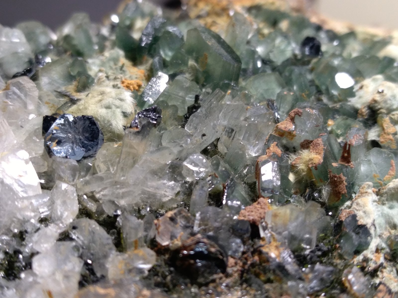 Epidota, Albita, Hematites, Anfibol (Supergrupo) (variedad Byssolita)
94 x 67 mm
(Autor: Sante Celiberti)