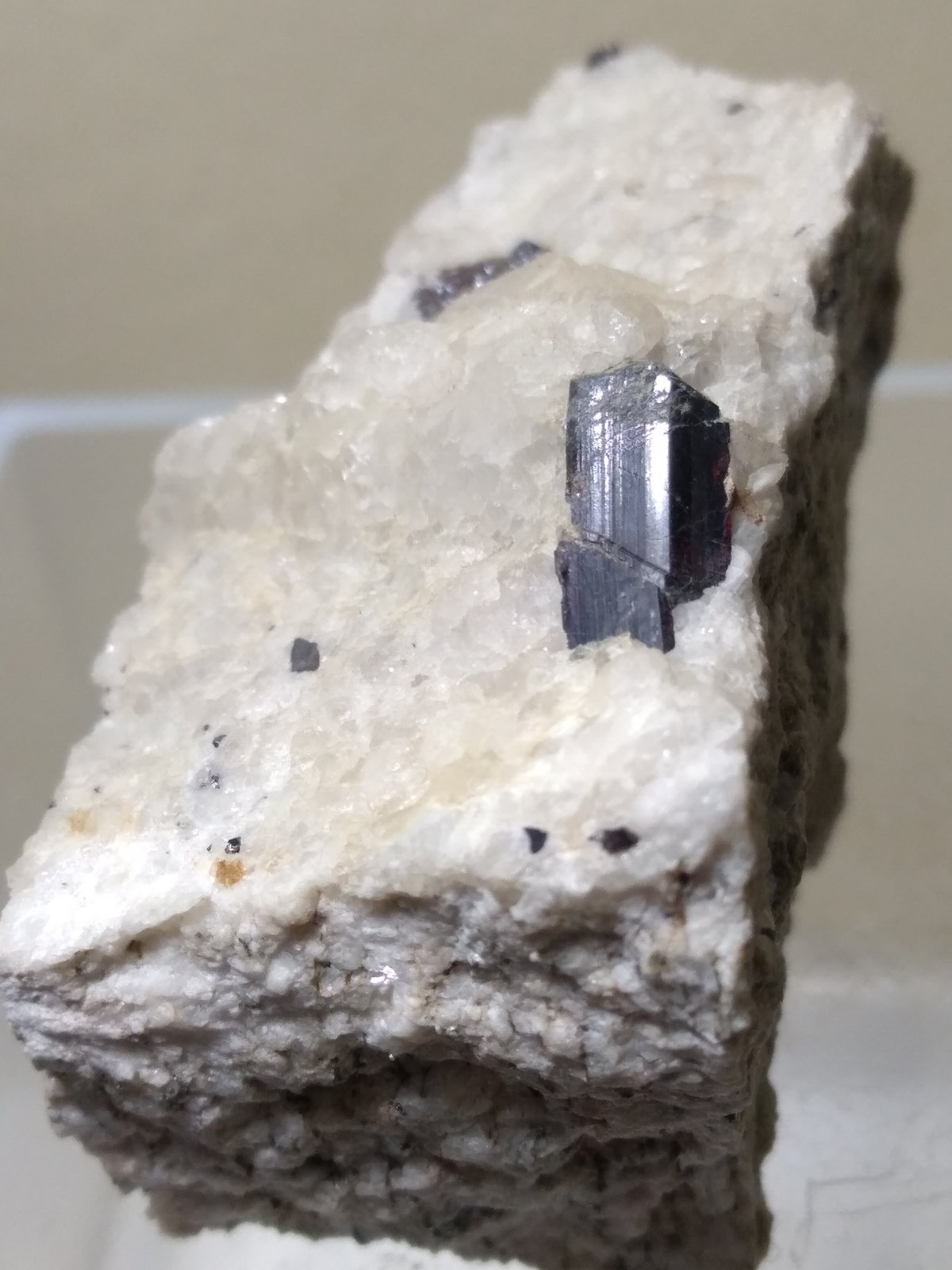 Rutilo
44 x 33 mm
(Autor: Sante Celiberti)