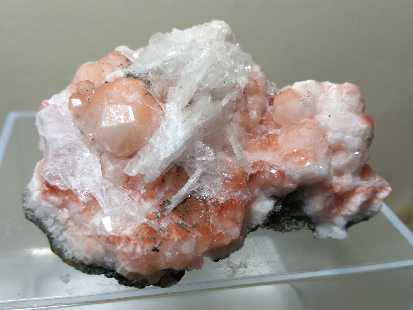 Analcima, Fluorapofilita-(K)
59 x 39 mm
(Autor: Sante Celiberti)
