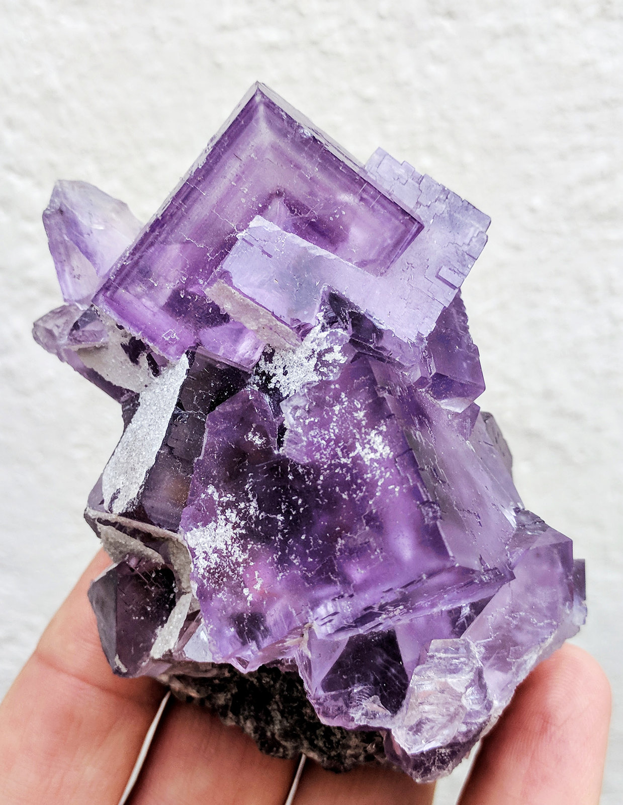 Fluorita, Cuarzo
8,0 x 5,2 cm.
(Autor: carles)