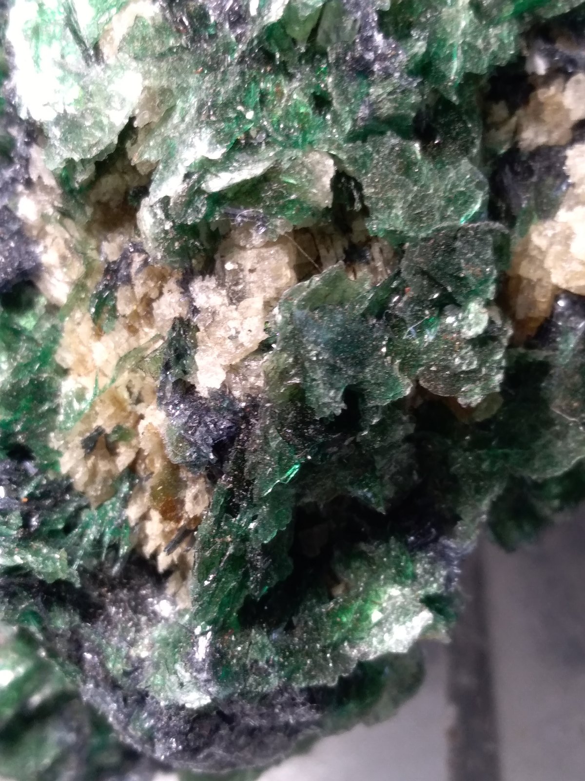 Glaucofana, Moscovita (variedad fuchsita), Rutilo
75 x 60 mm
(Autor: Sante Celiberti)