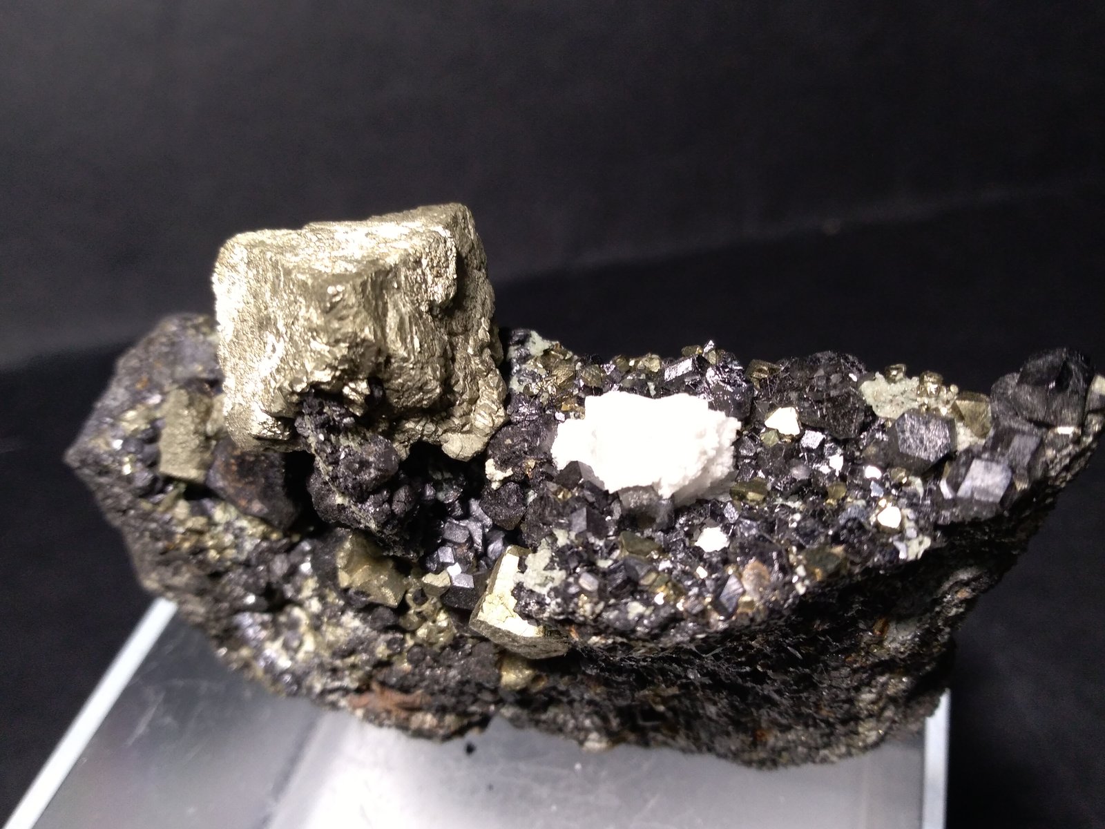Pirita, Magnetita
75 x 53 mm
(Autor: Sante Celiberti)