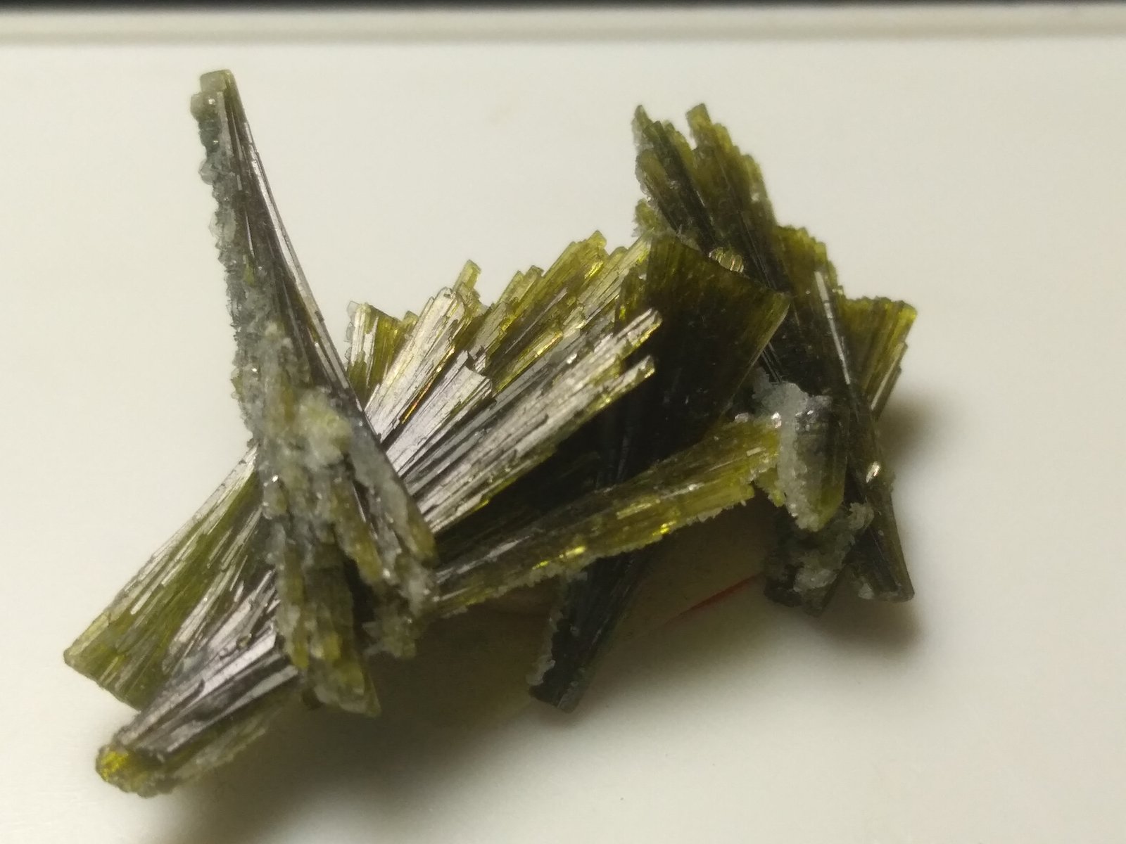 Epidota
28 x 24 mm
(Autor: Sante Celiberti)